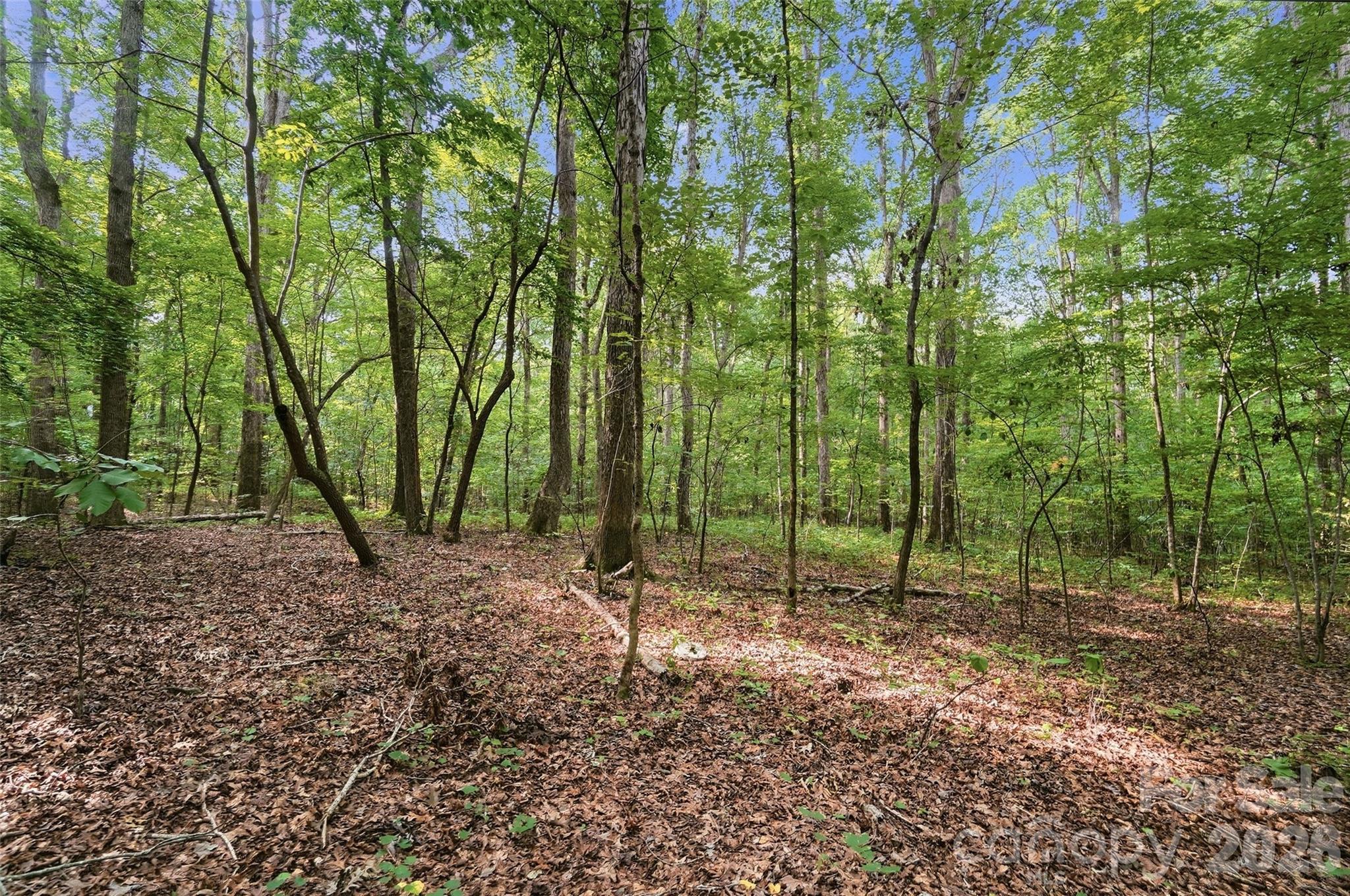 Vac Pond Road Property Photo 2