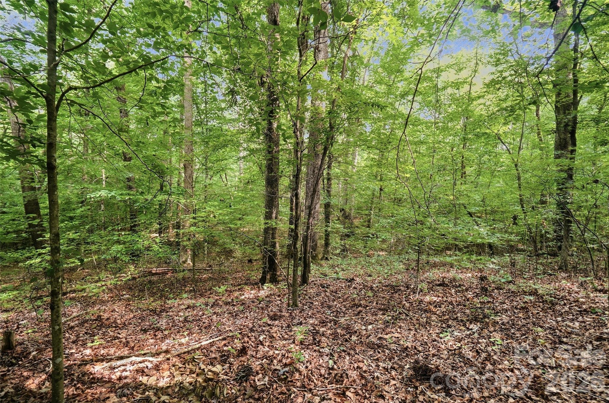 Vac Pond Road Property Photo 3