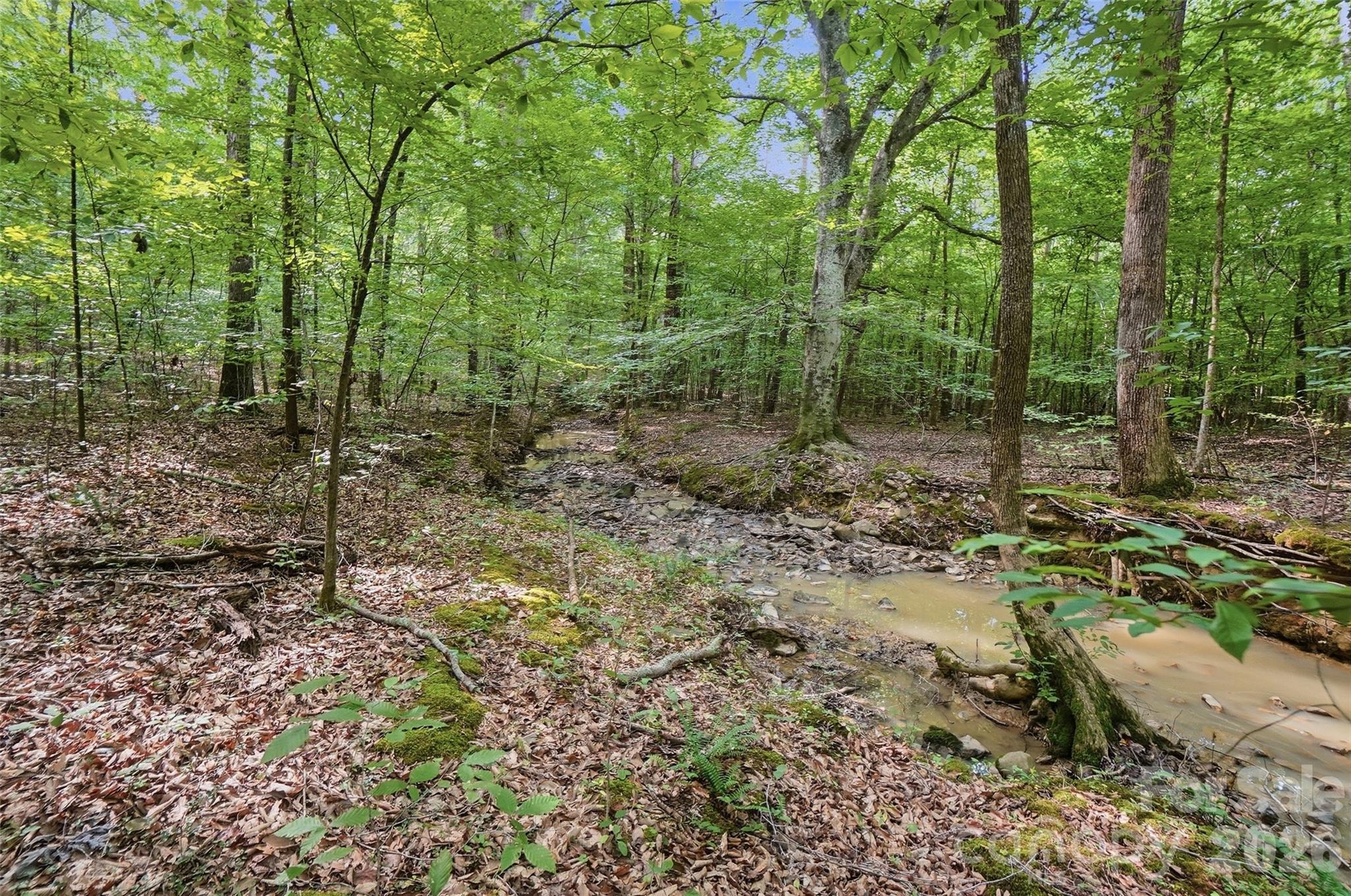 Vac Pond Road Property Photo 4