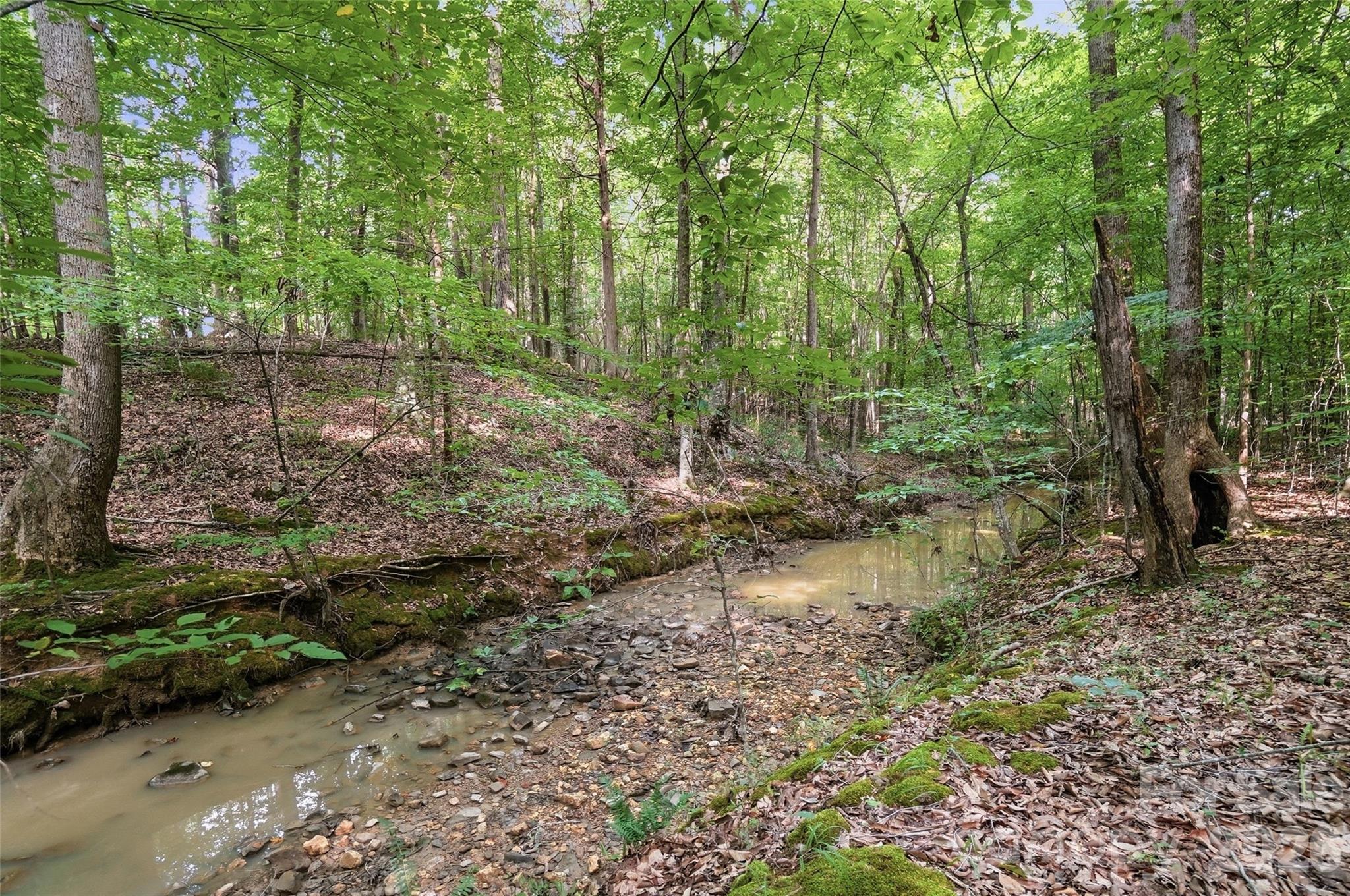 Vac Pond Road Property Photo 5