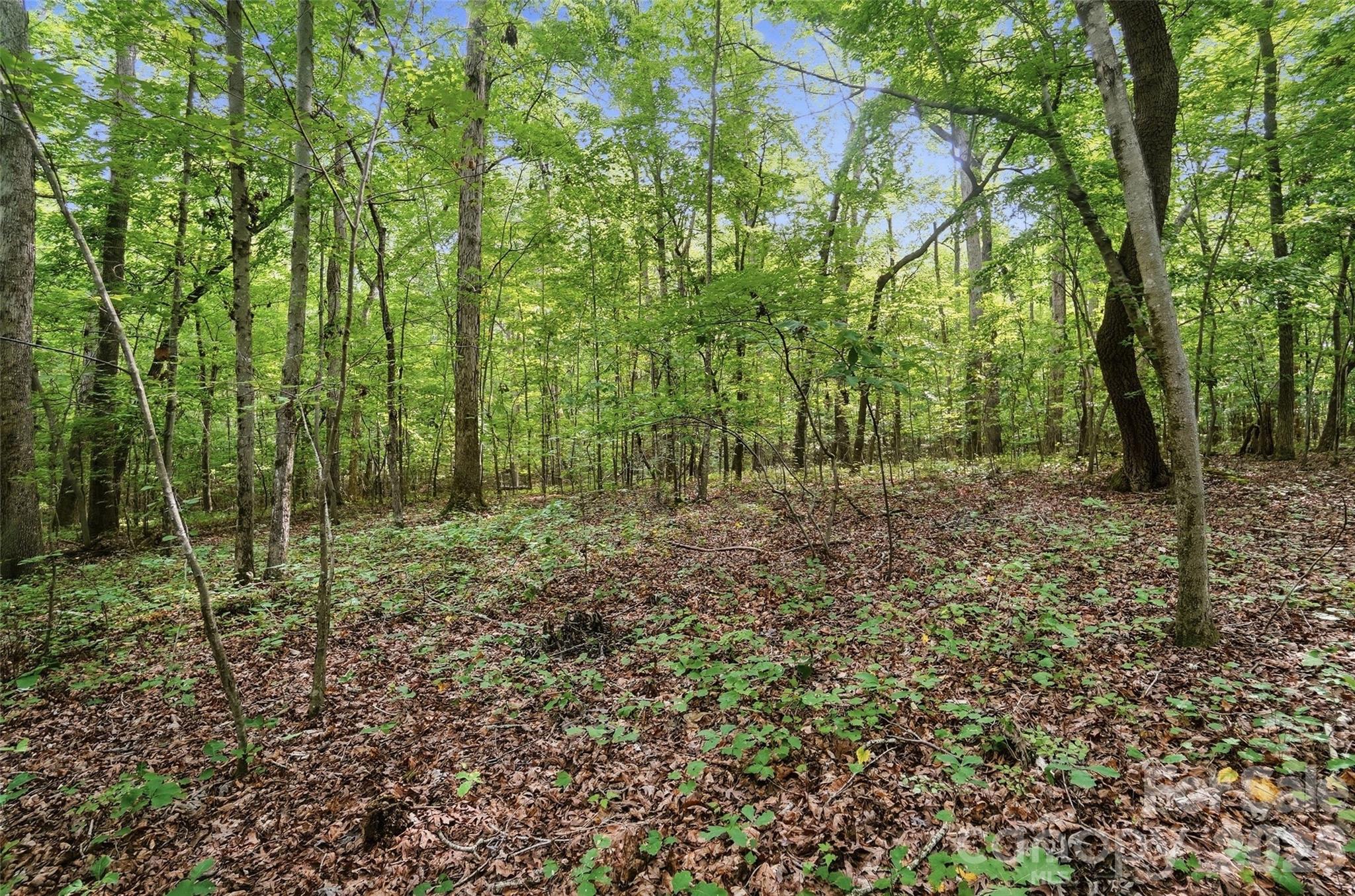 Vac Pond Road Property Photo 6