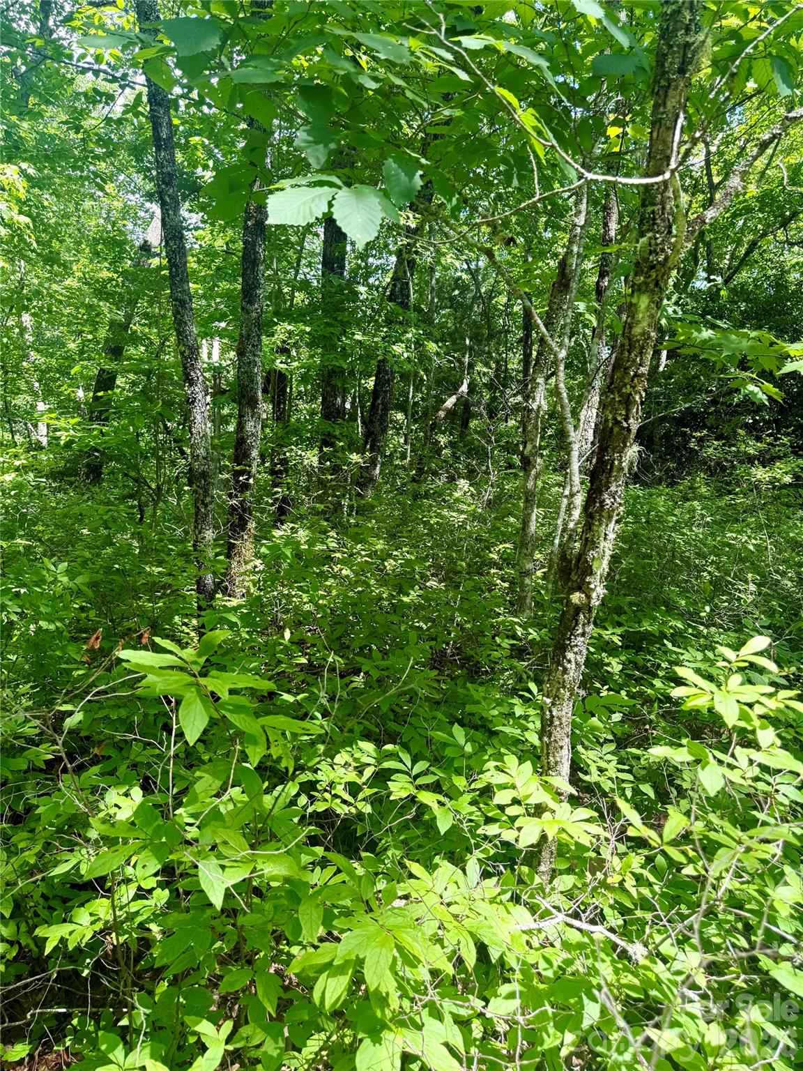 Tbd Indian Lake Road 32 Property Photo 3