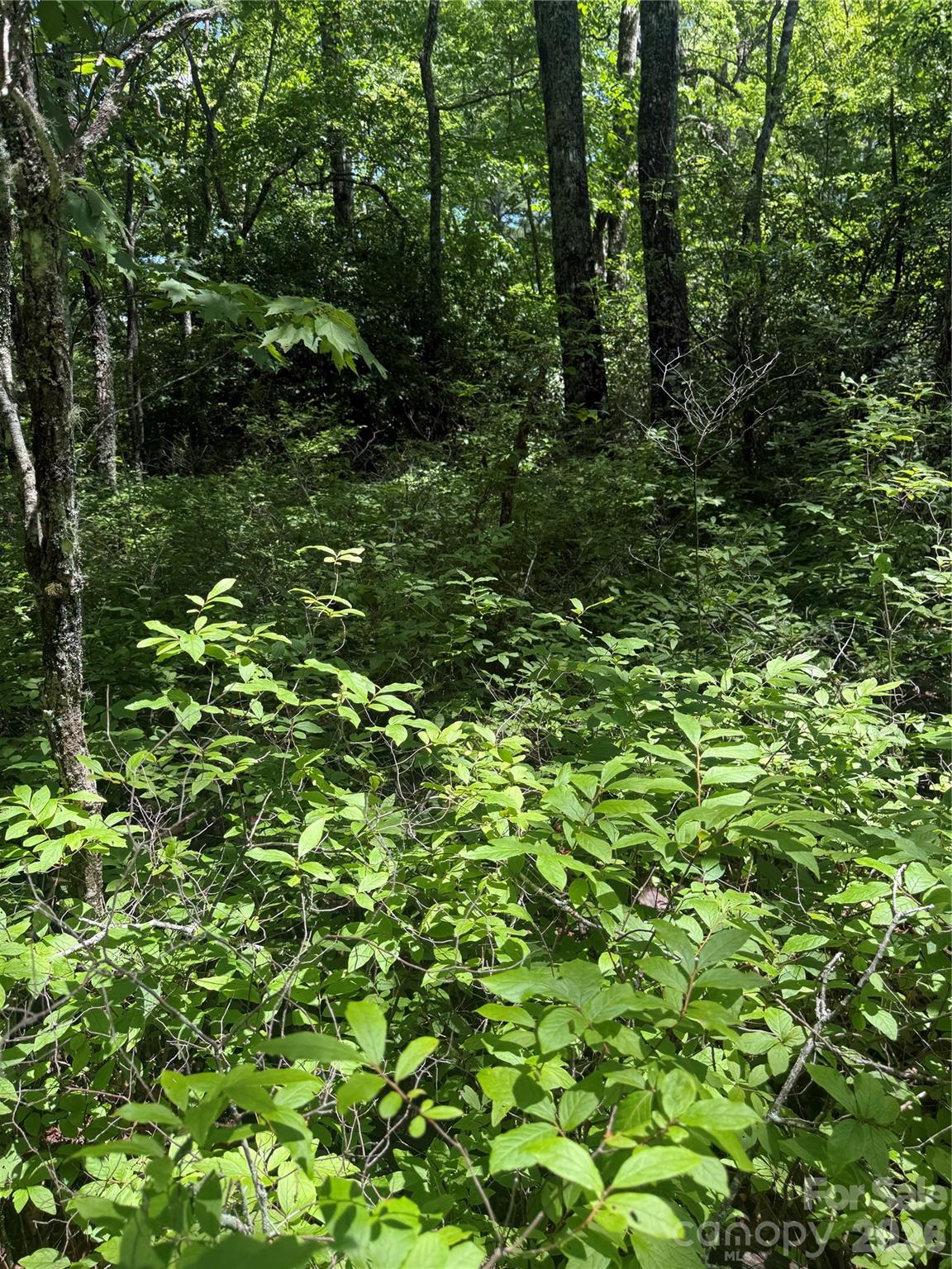 Tbd Indian Lake Road 32 Property Photo 4