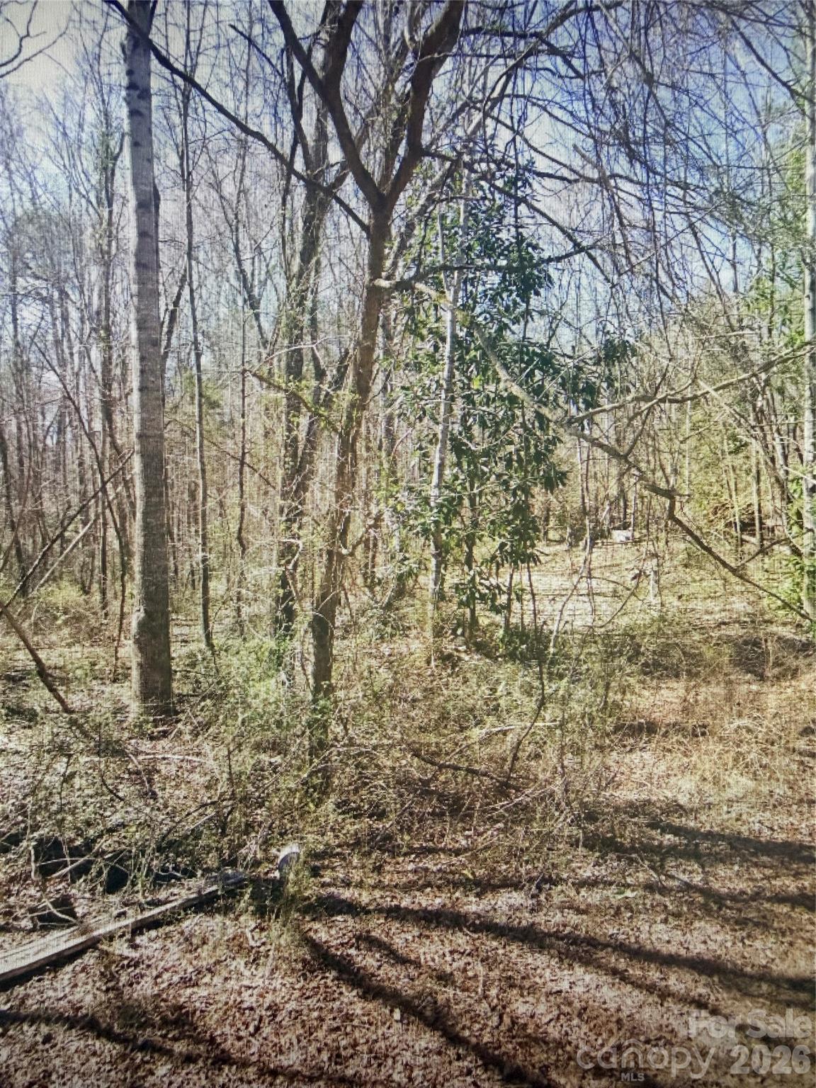 212/219 Railroad Street Property Photo 7