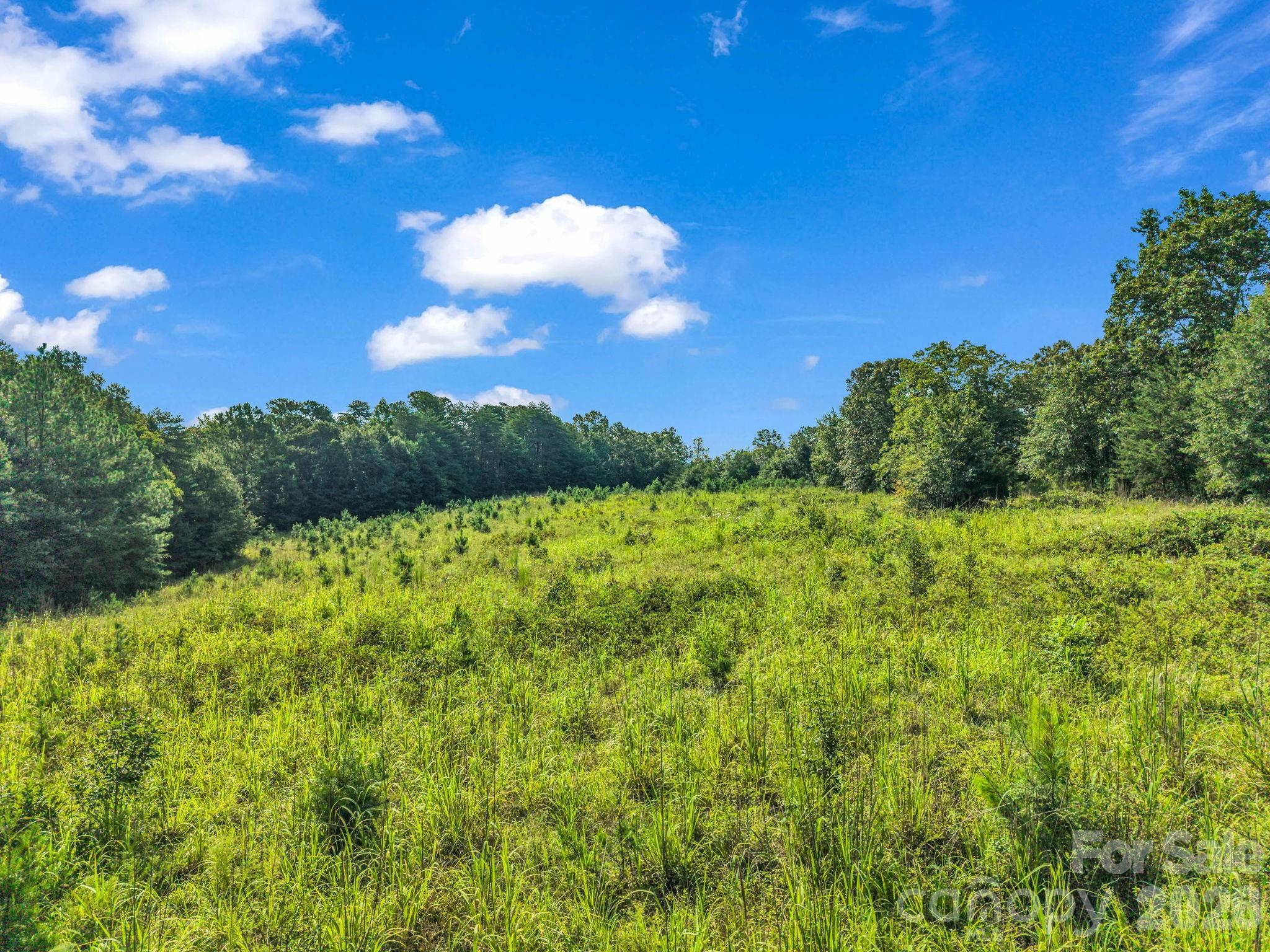 2165 Nc 120 Highway Property Photo 5