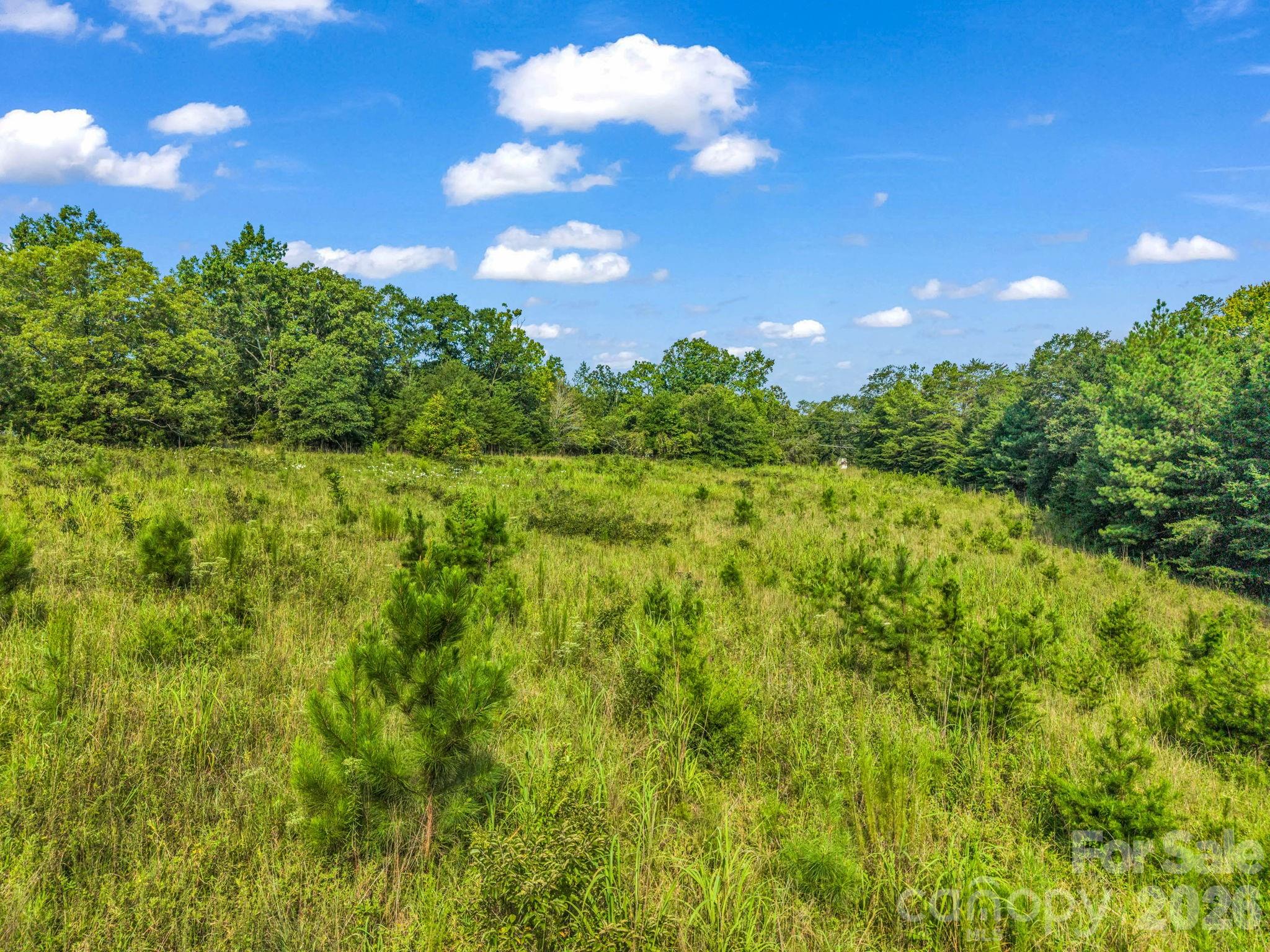 2165 Nc 120 Highway Property Photo 6