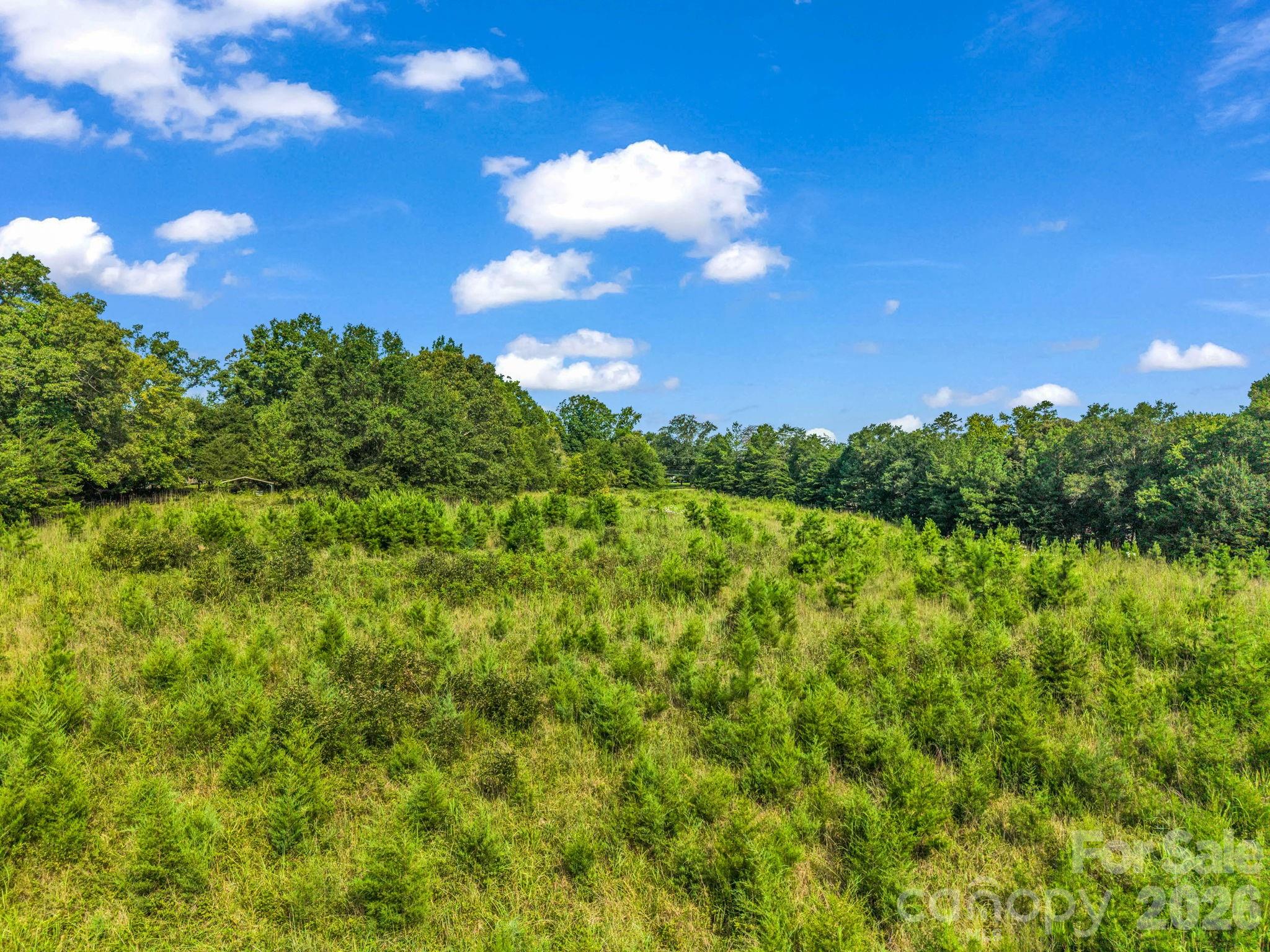 2165 Nc 120 Highway Property Photo 7