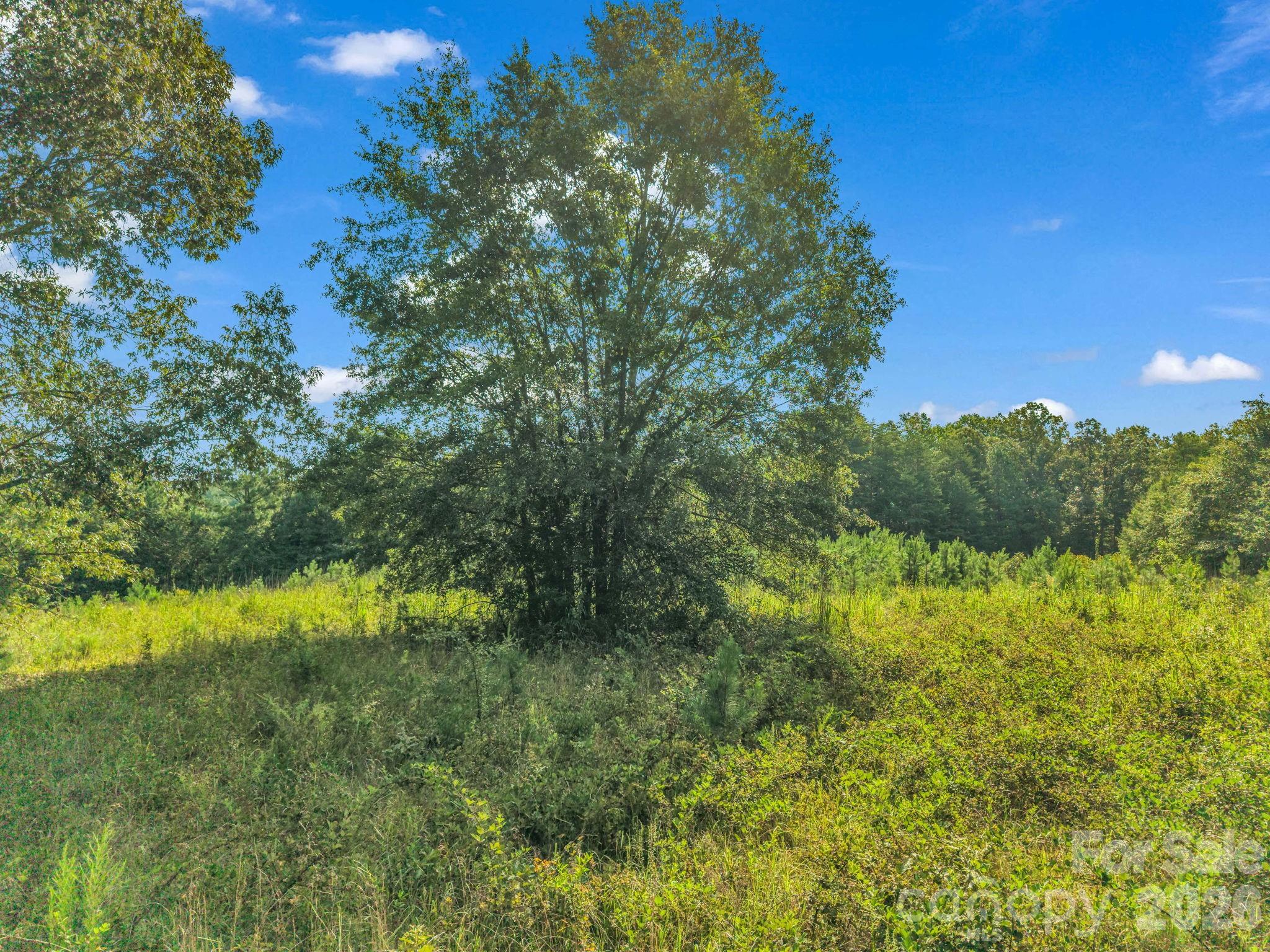 2165 Nc 120 Highway Property Photo 9