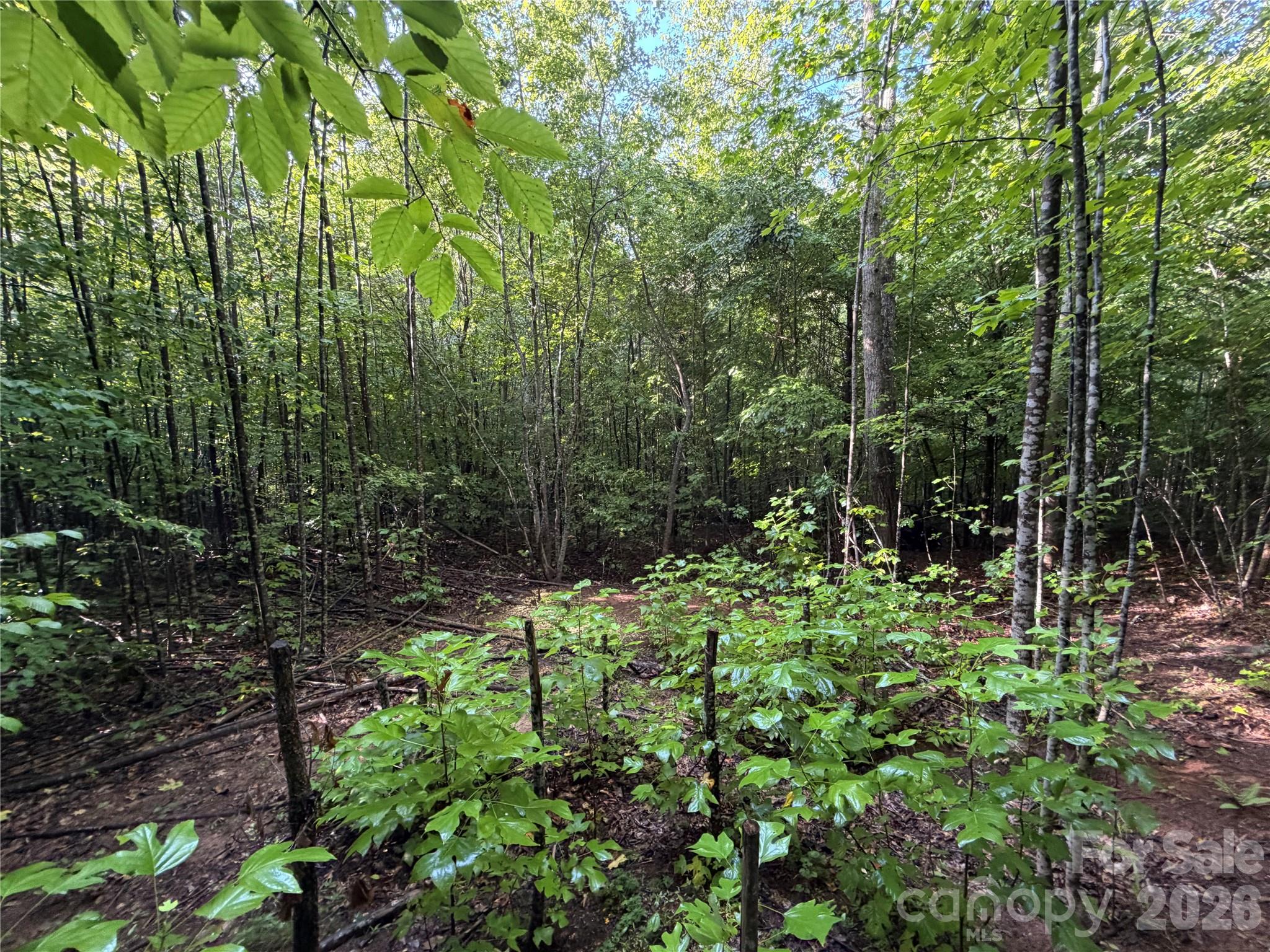 00 226 Highway Property Photo 14