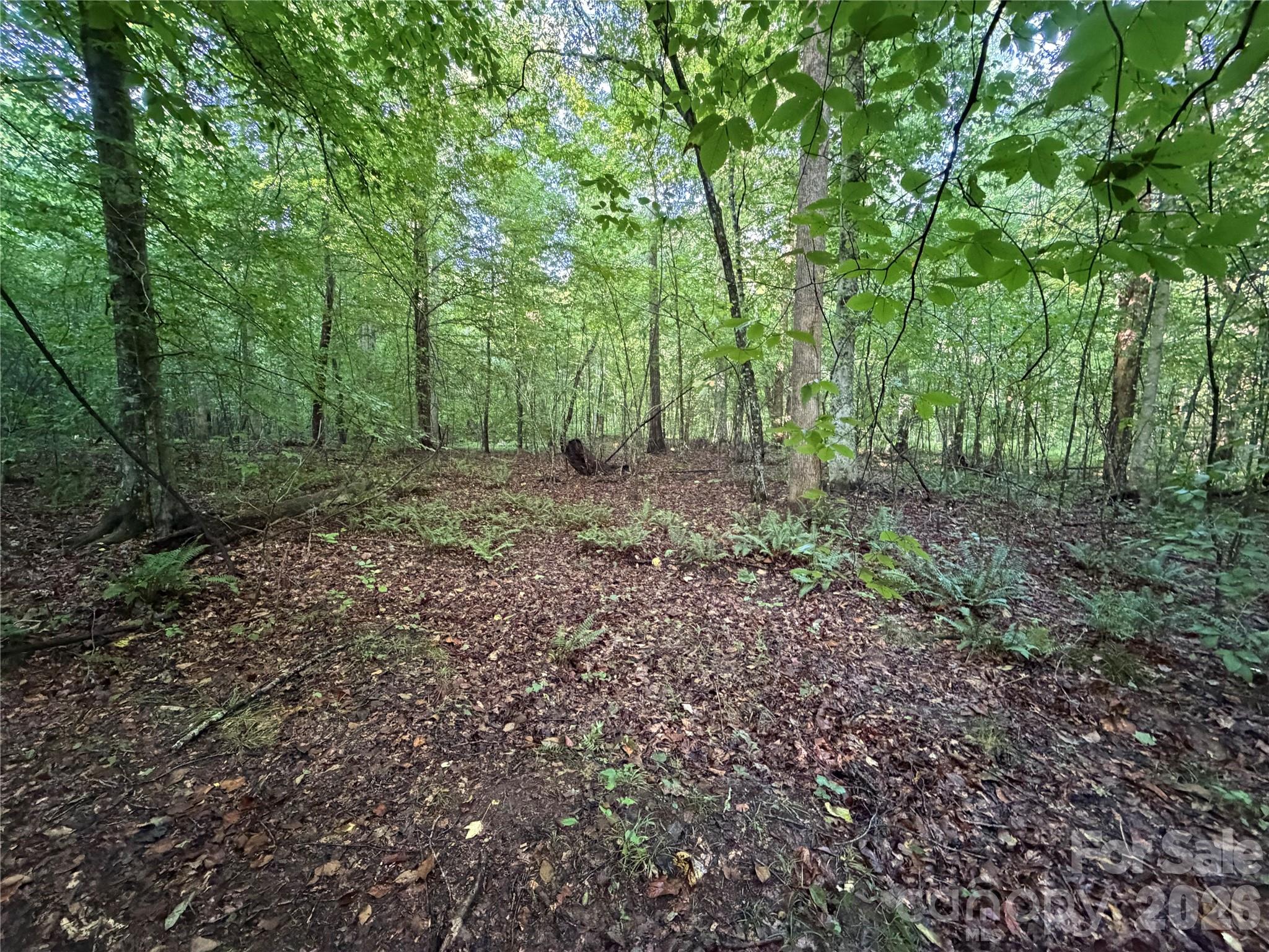 00 226 Highway Property Photo 22