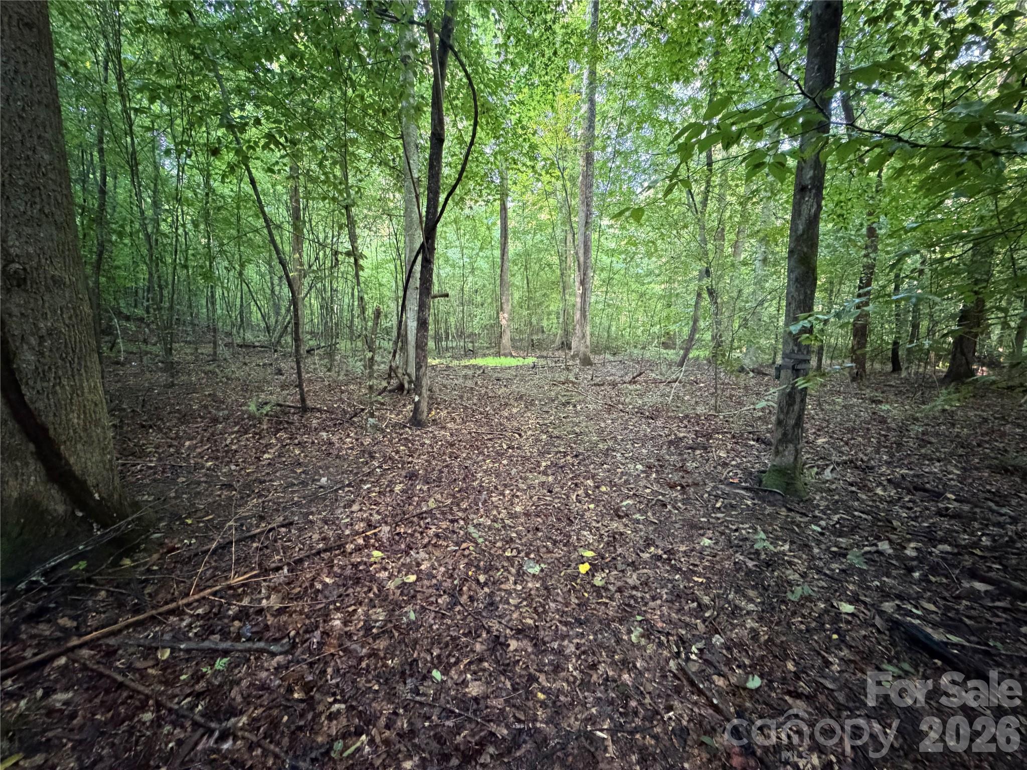 00 226 Highway Property Photo 23