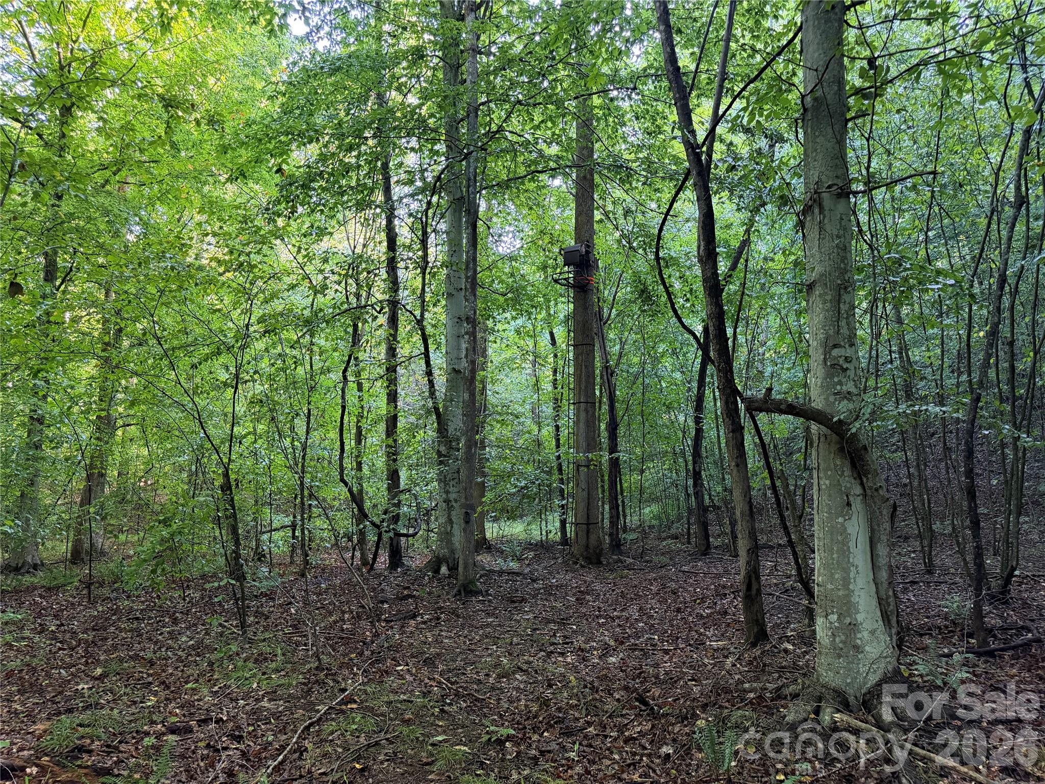 00 226 Highway Property Photo 24