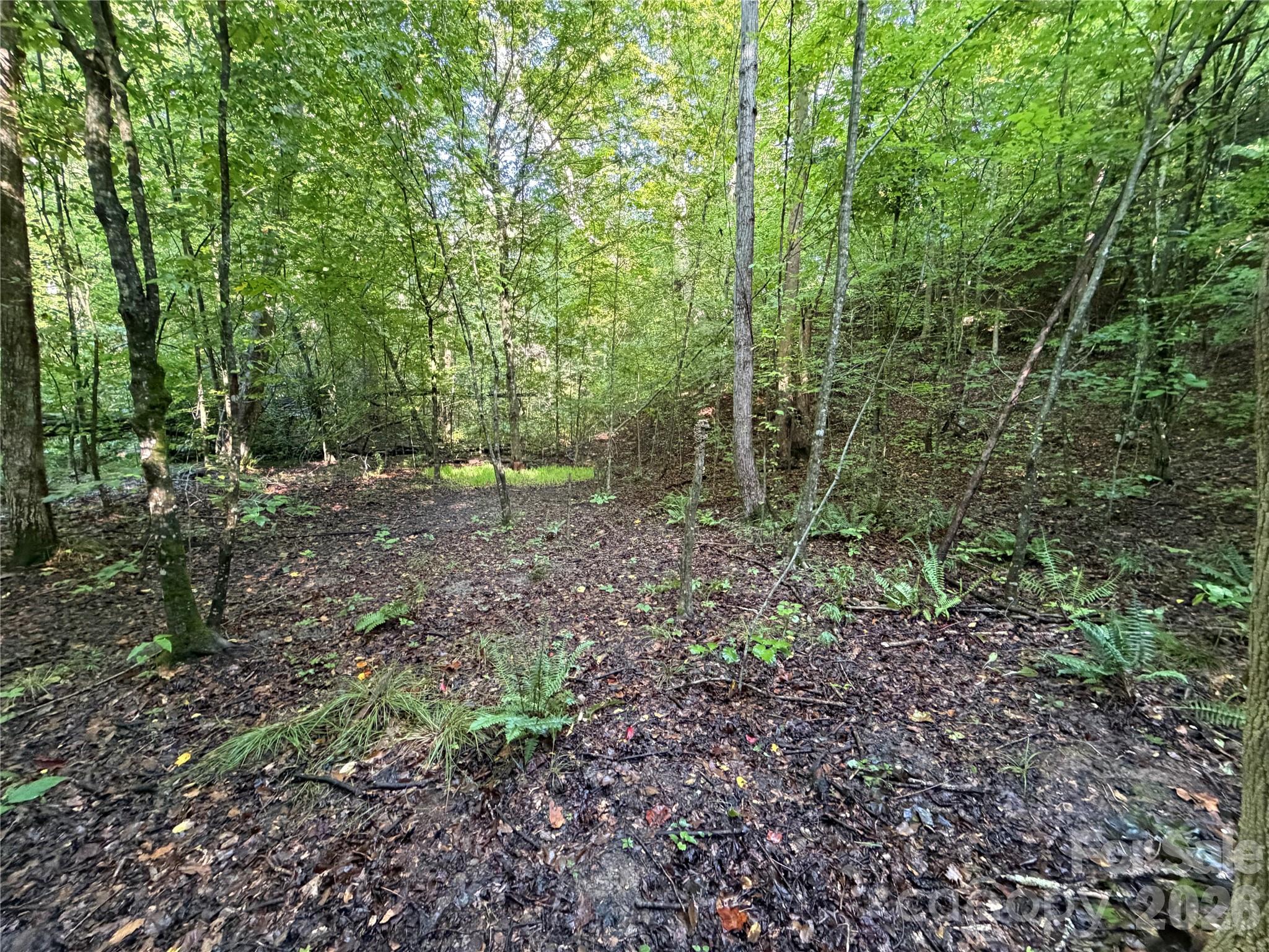 00 226 Highway Property Photo 28