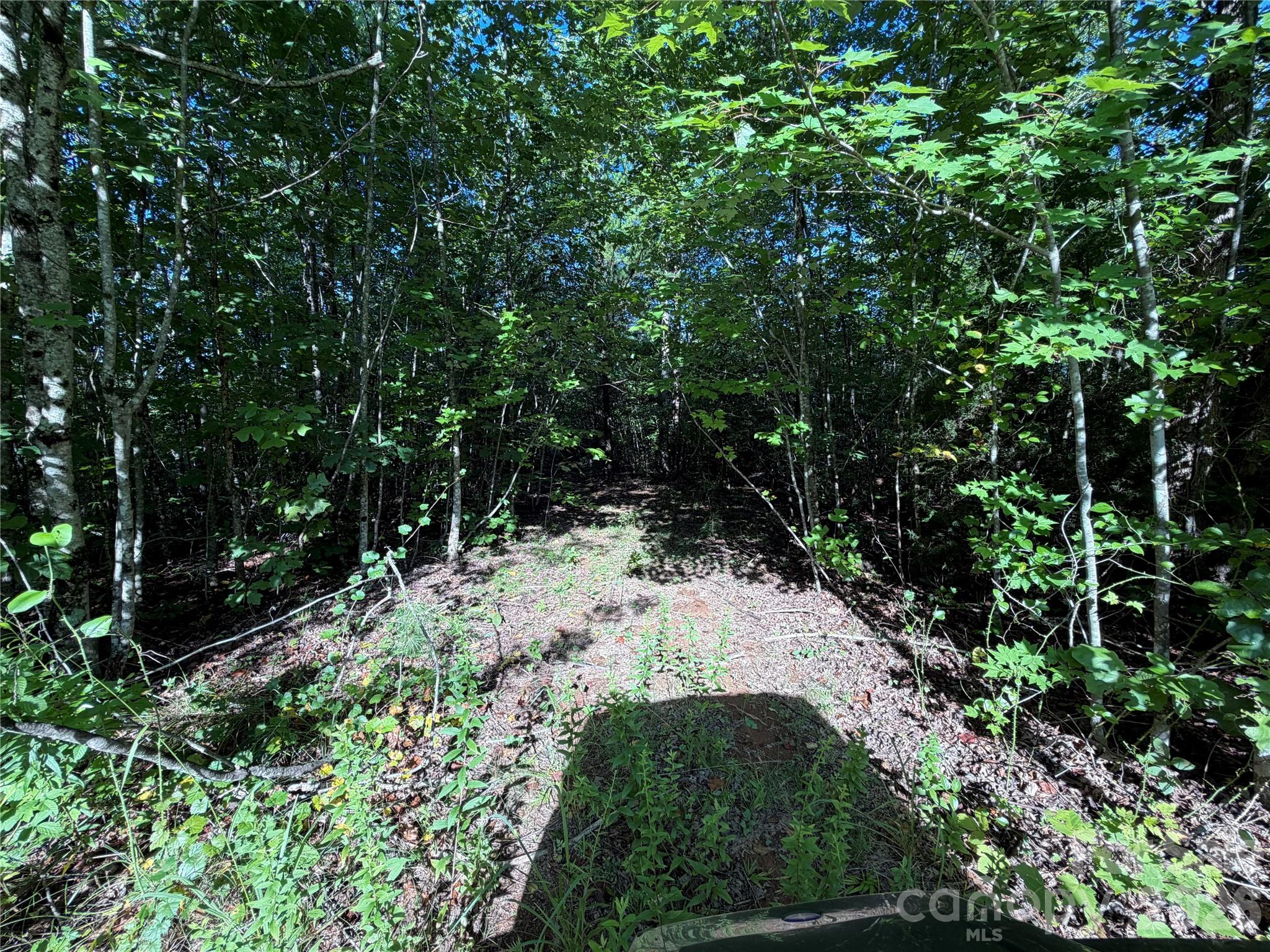 00 226 Highway Property Photo 34