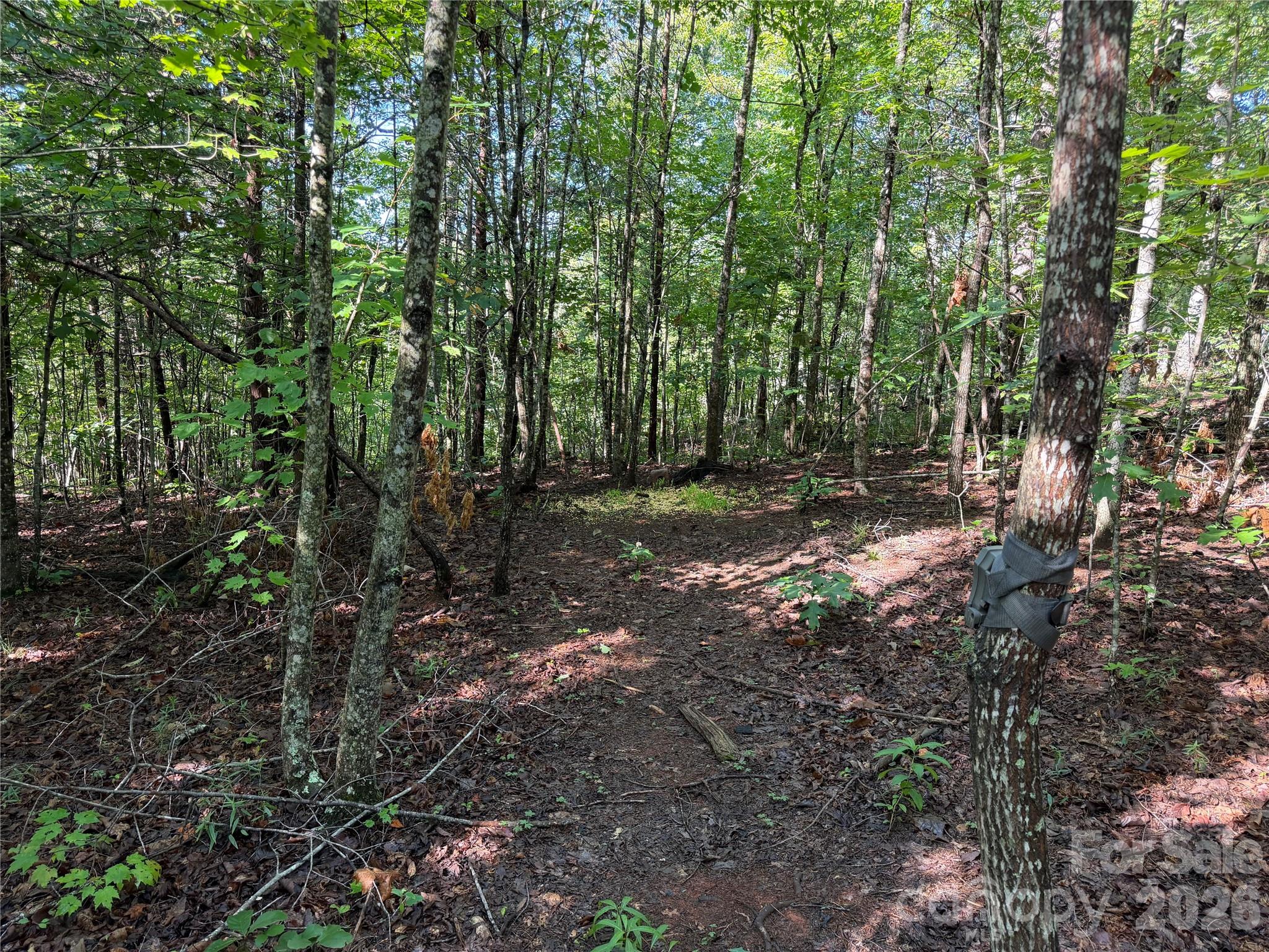 00 226 Highway Property Photo 37