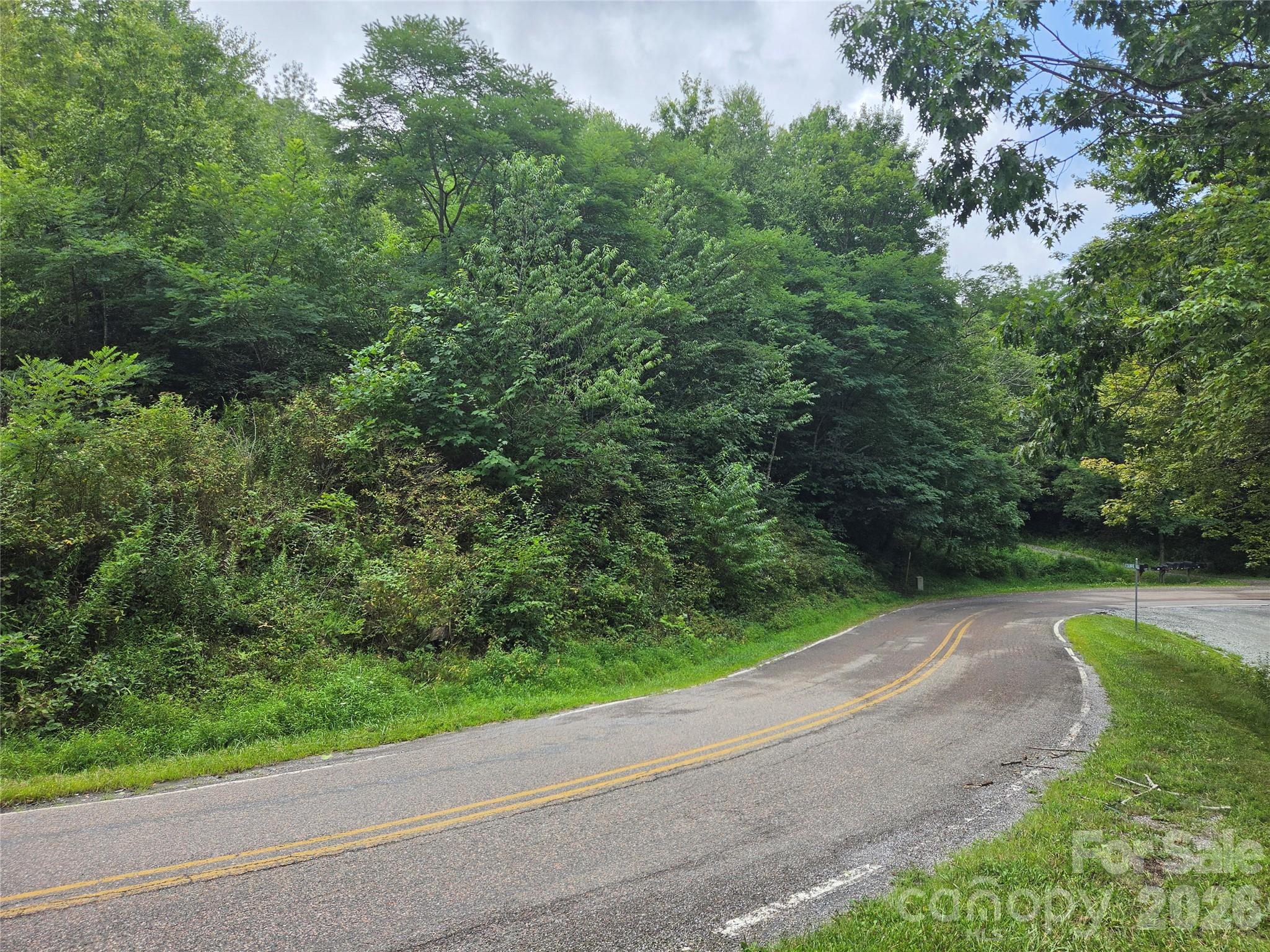 701 Pigeon Roost Road Property Photo 5