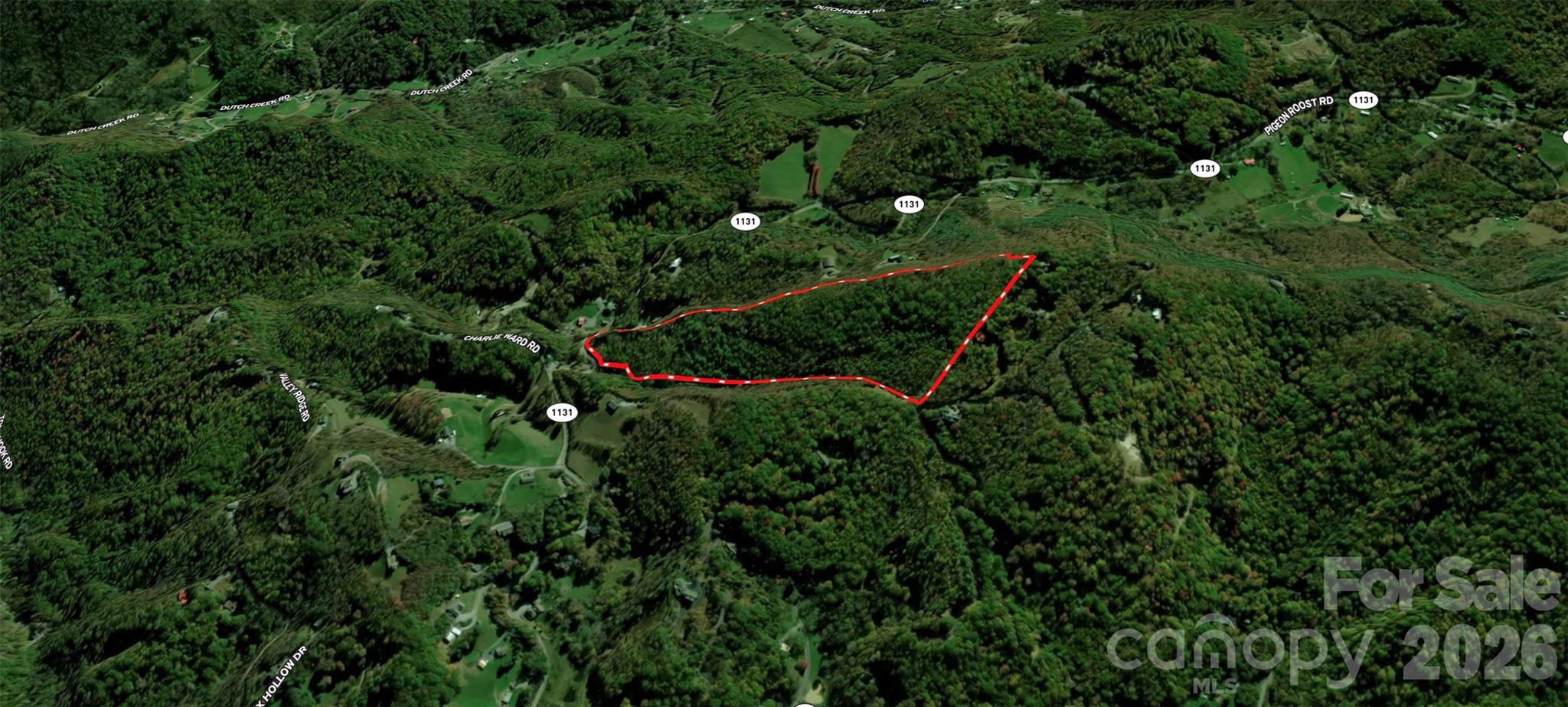 701 Pigeon Roost Road Property Photo 8