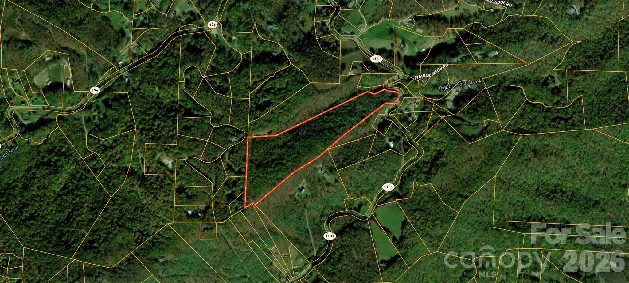 701 Pigeon Roost Road Property Photo 9