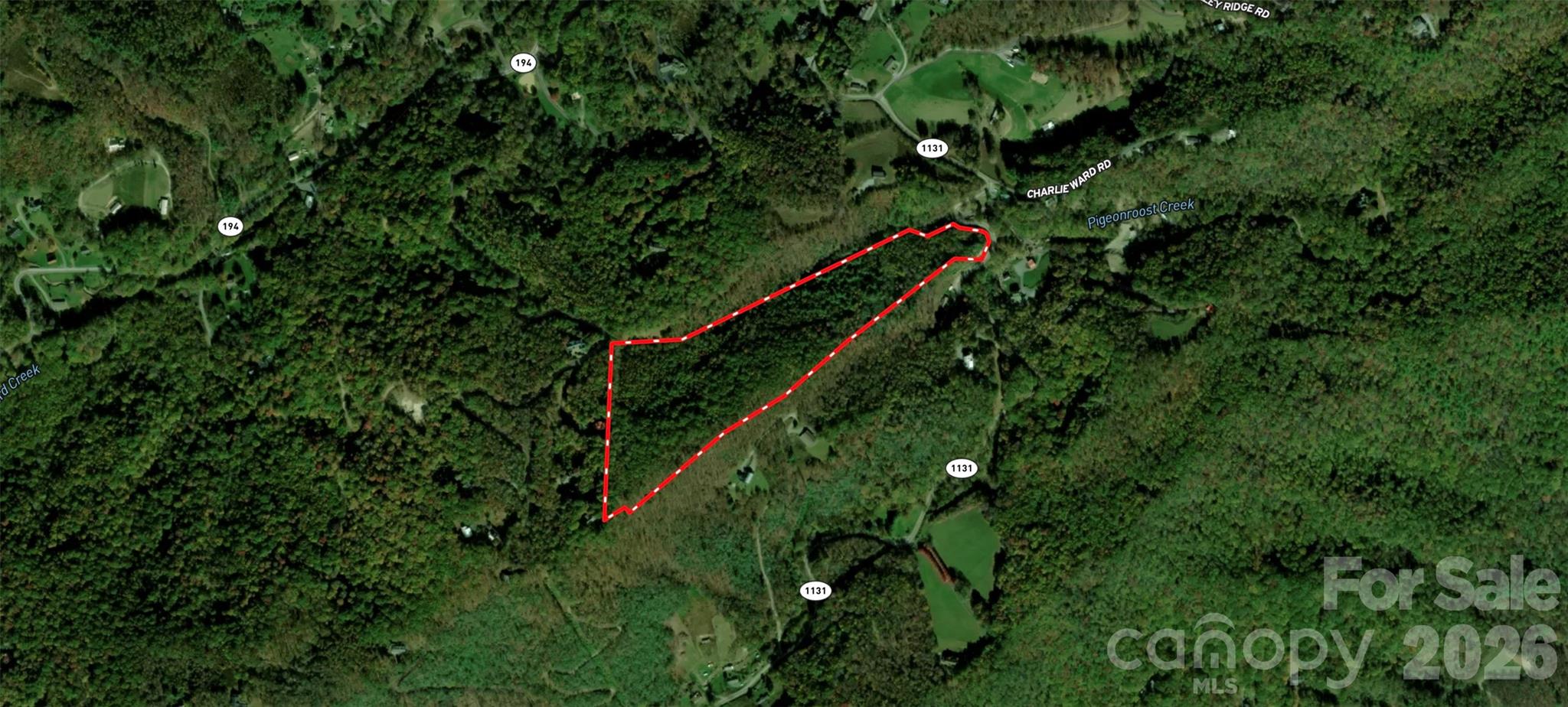 701 Pigeon Roost Road Property Photo 10