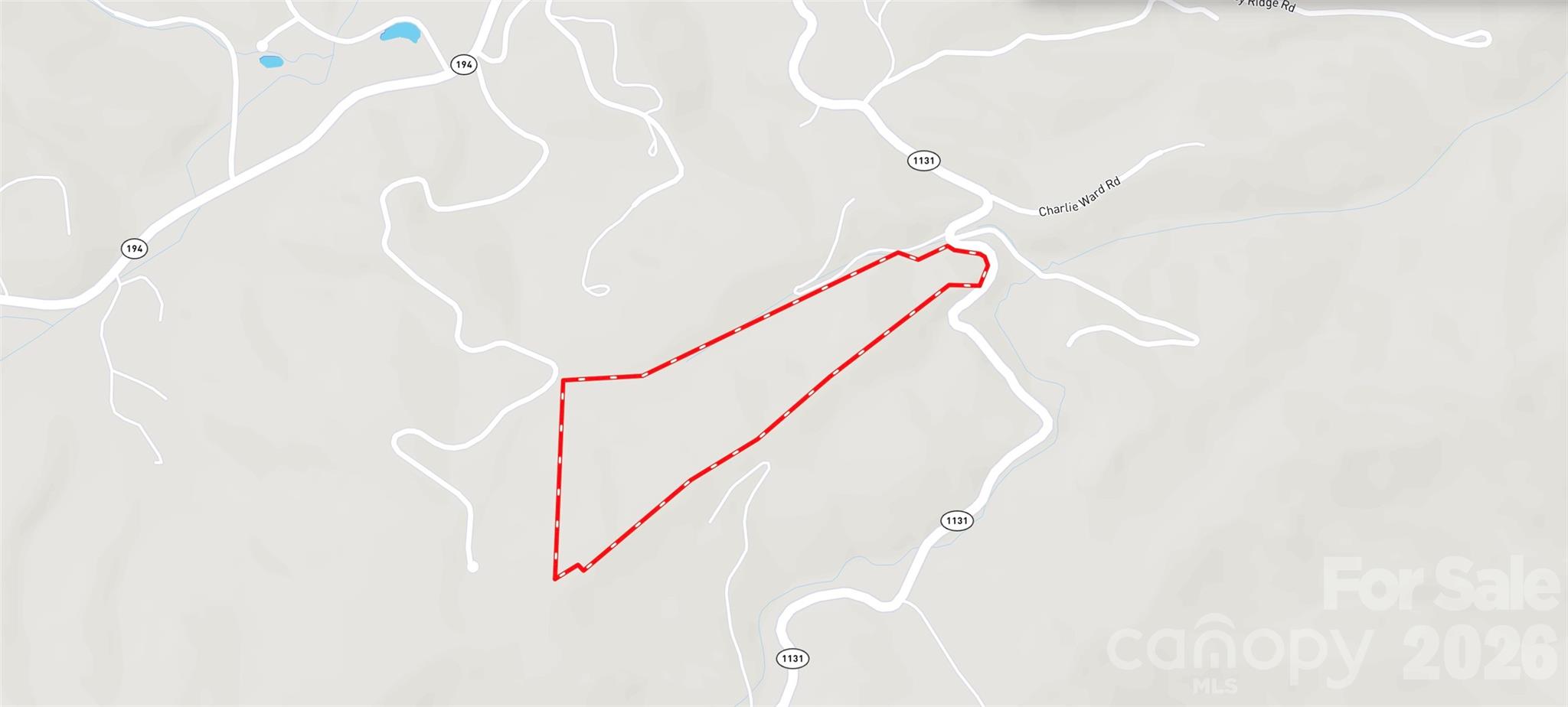 701 Pigeon Roost Road Property Photo 14