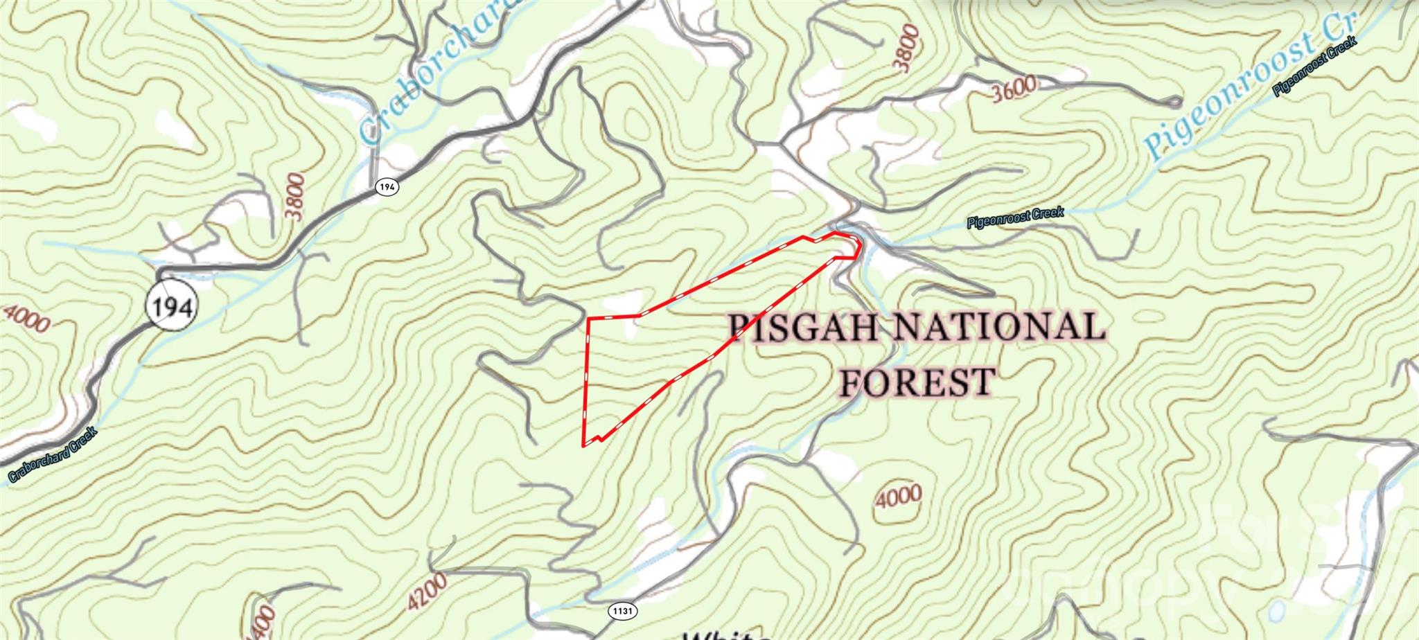 701 Pigeon Roost Road Property Photo 16