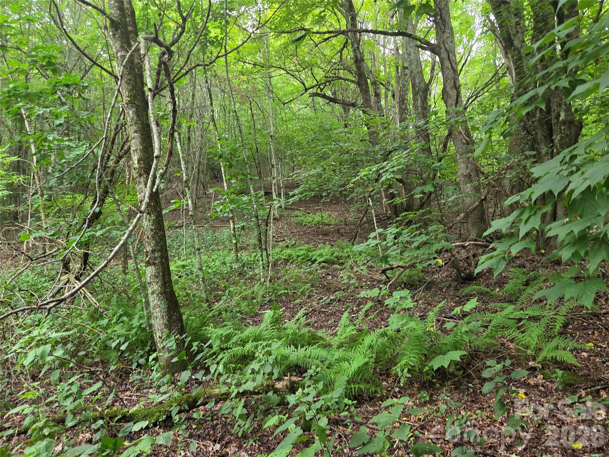 701 Pigeon Roost Road Property Photo 17