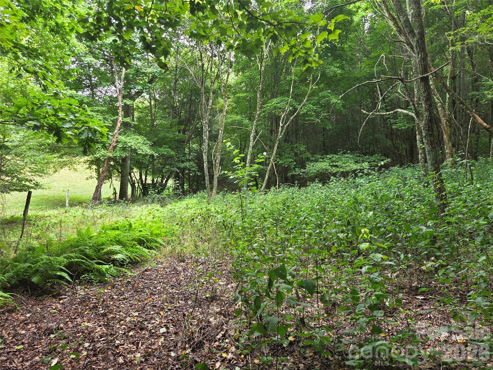 701 Pigeon Roost Road Property Photo 18