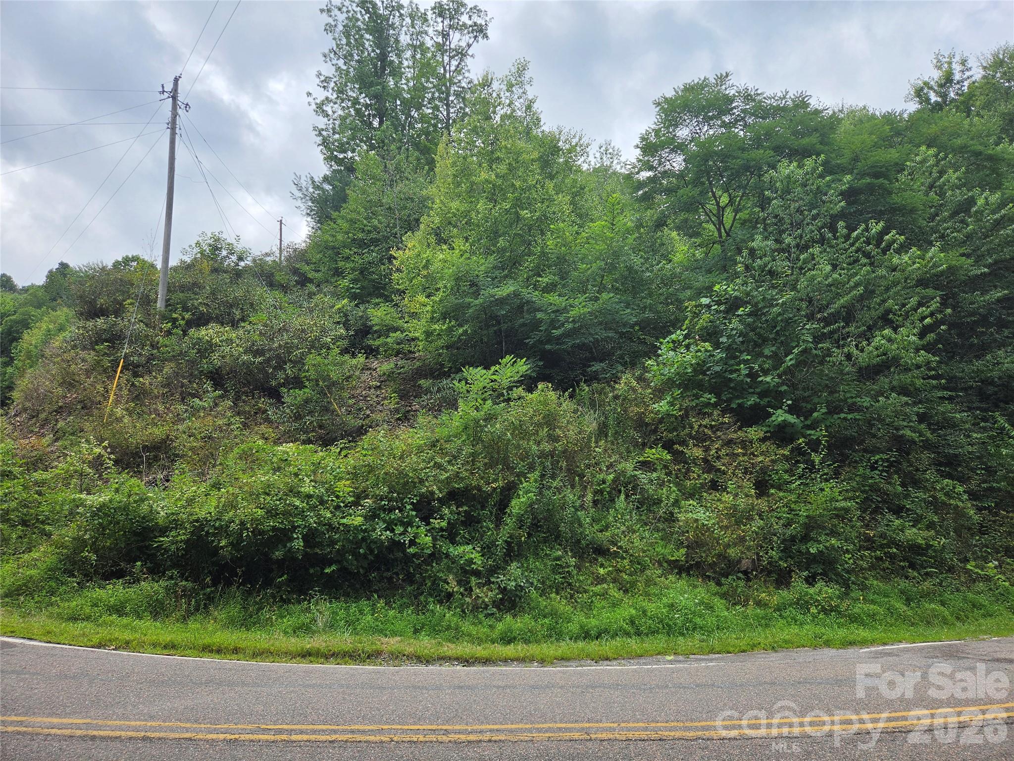 701 Pigeon Roost Road Property Photo 19