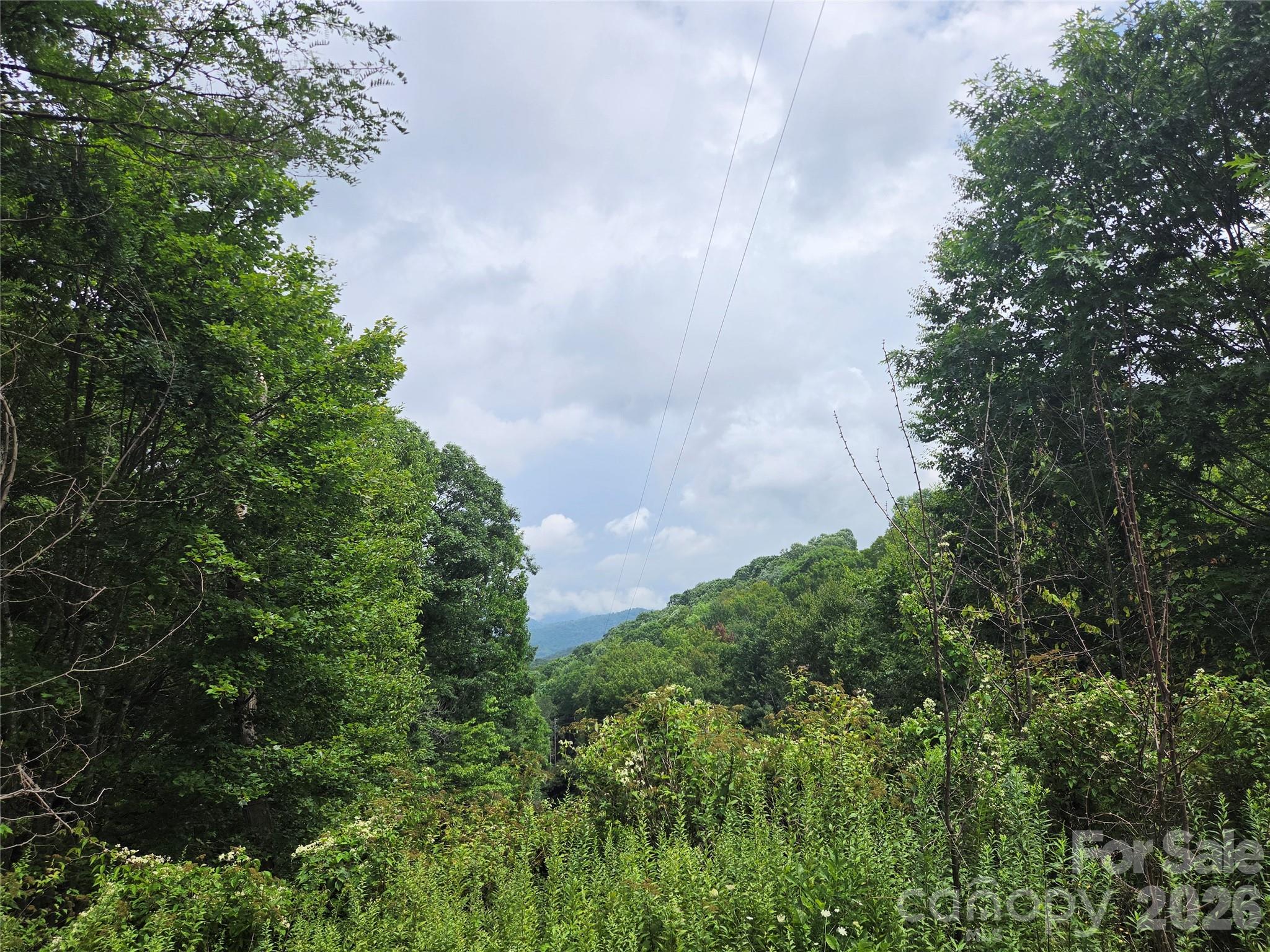 701 Pigeon Roost Road Property Photo 22