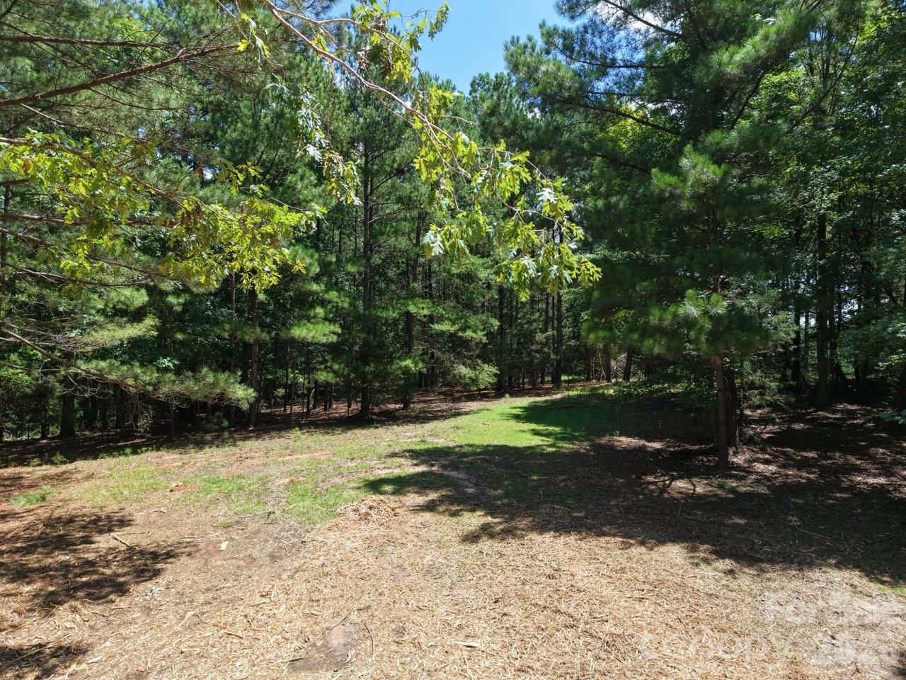0 Montgomery Road Property Photo 6