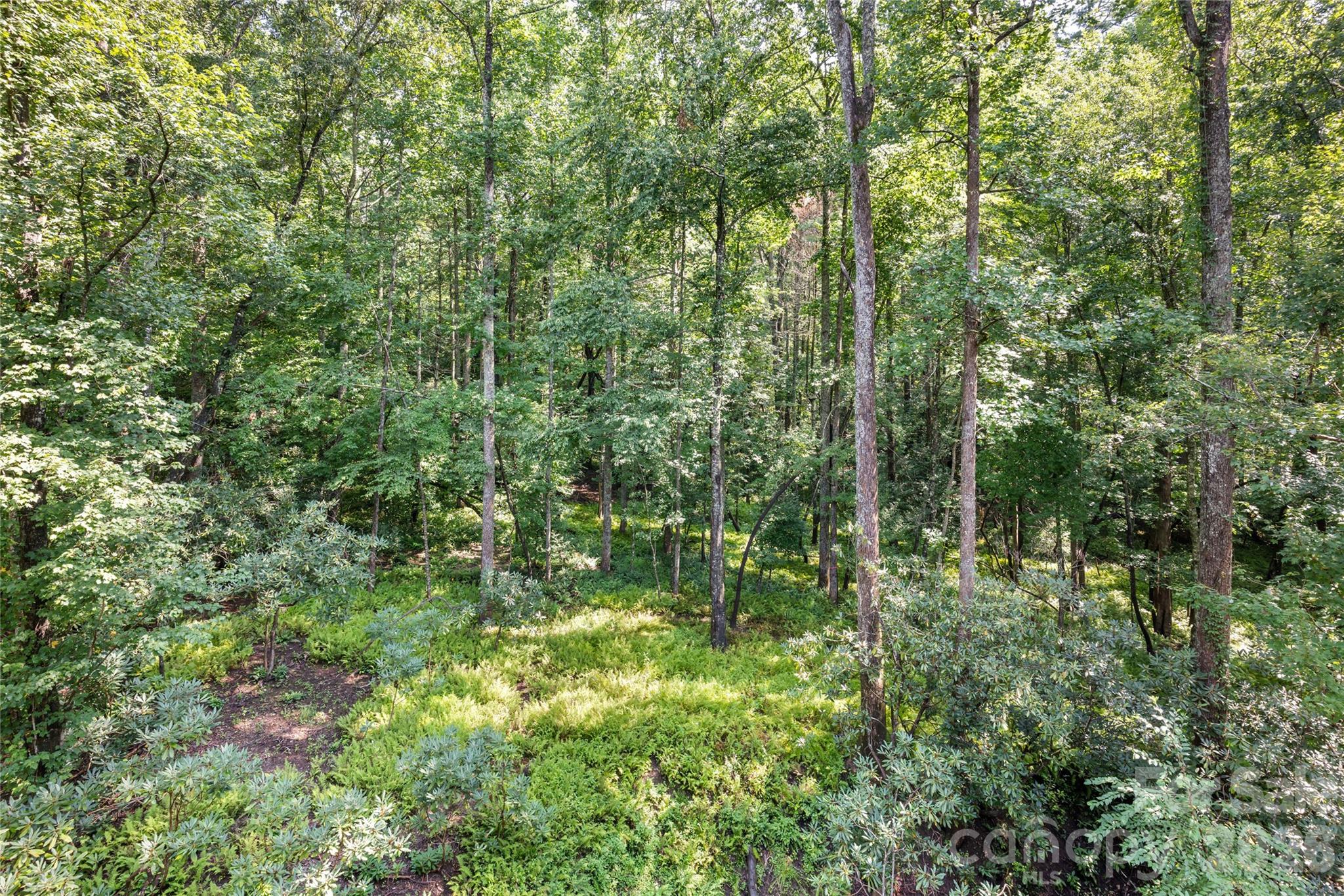 55 Settlers Cove Property Photo 44