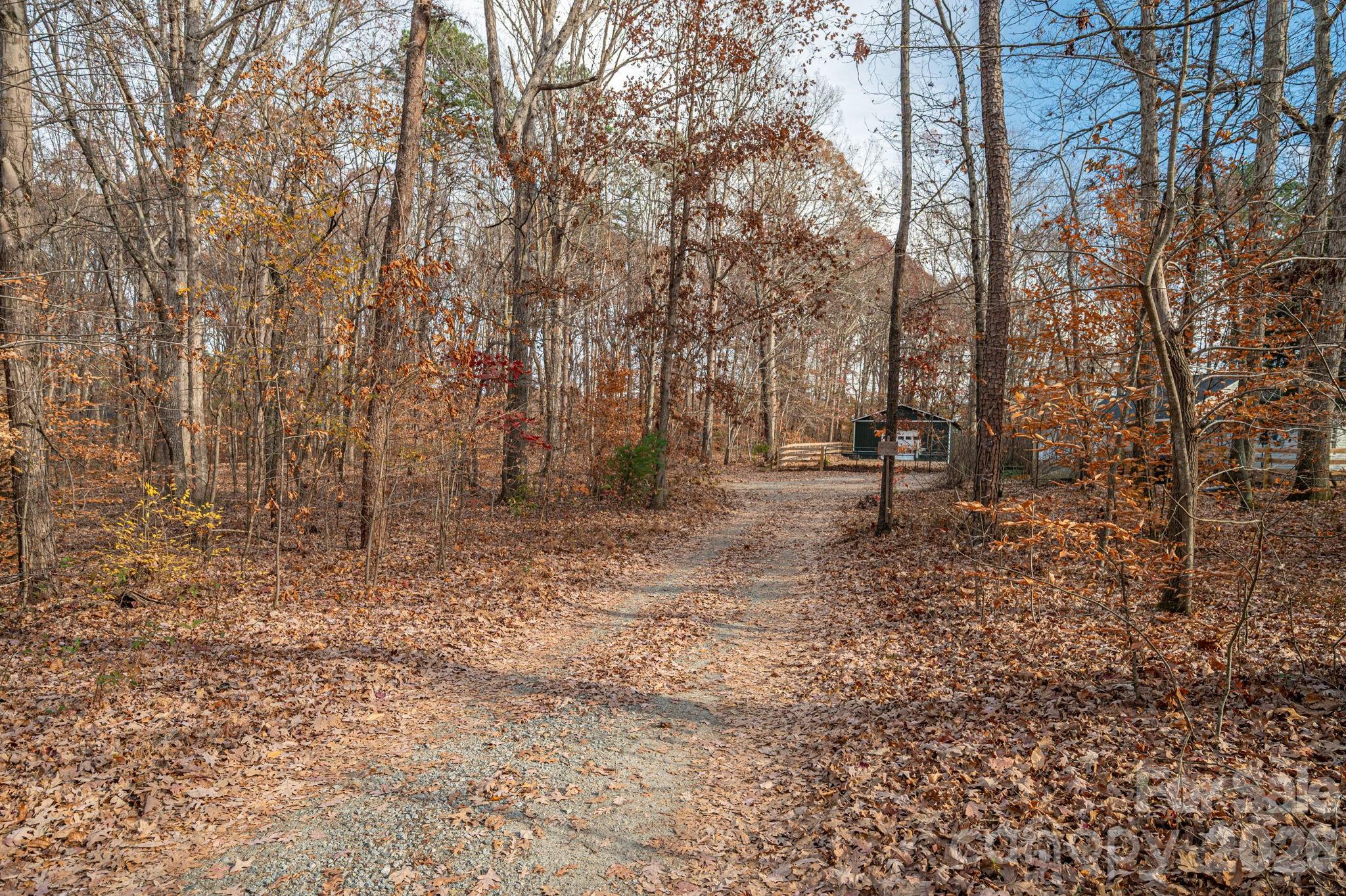 1011 Lester Trail Property Photo 28