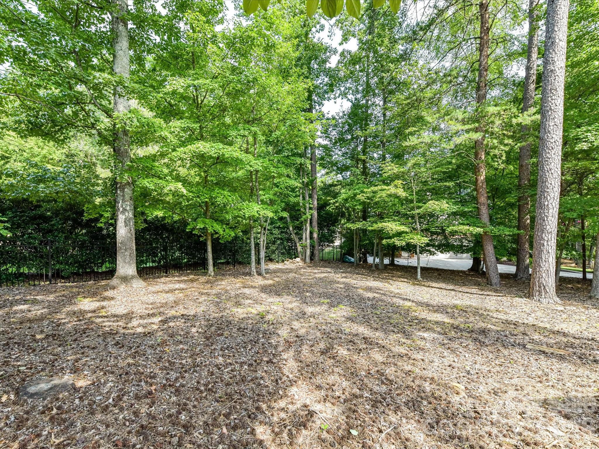3520 Providence Plantation Lane Property Photo 43