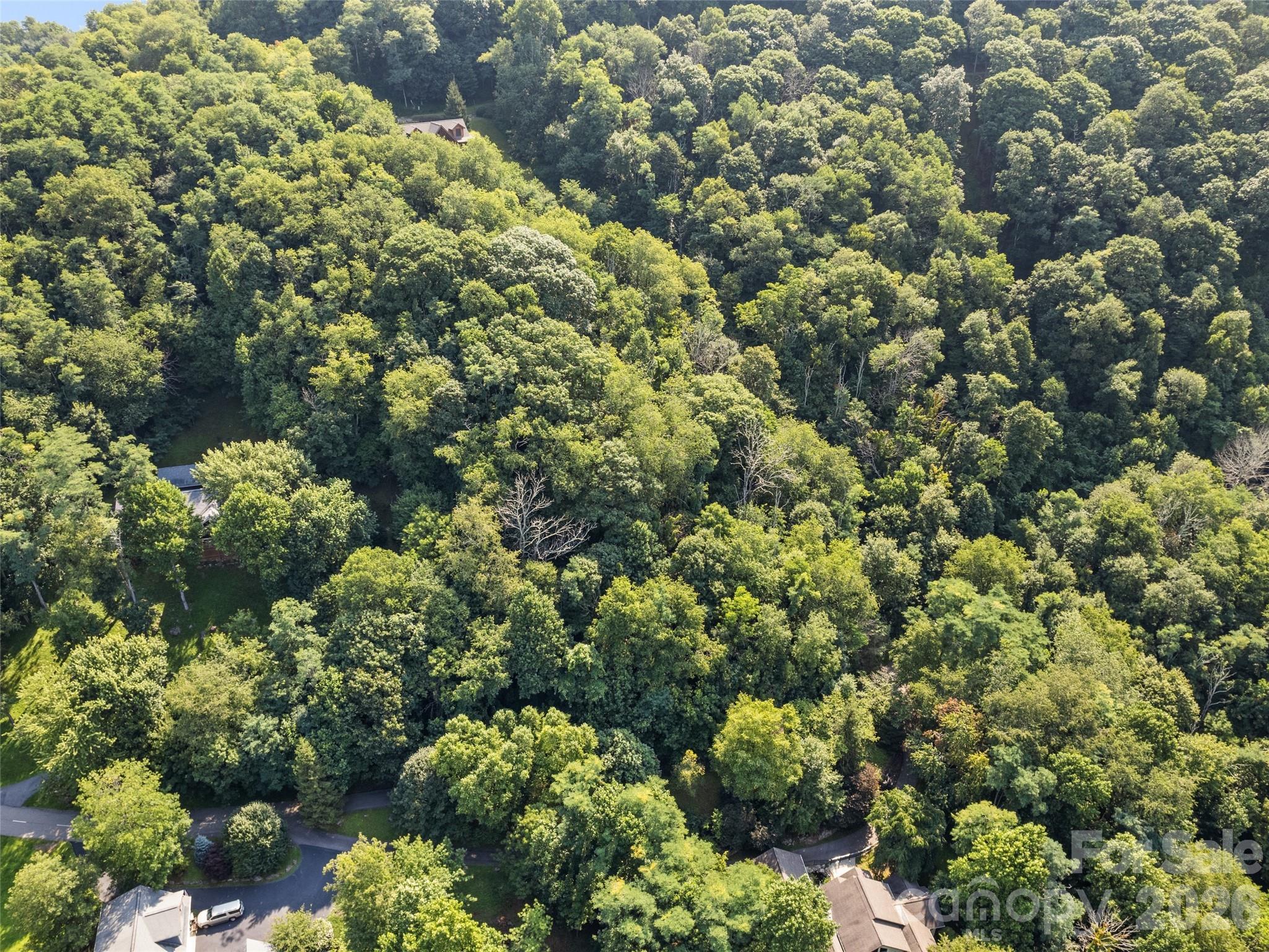 Lot #69 Twisted Trail 69 Property Photo 2