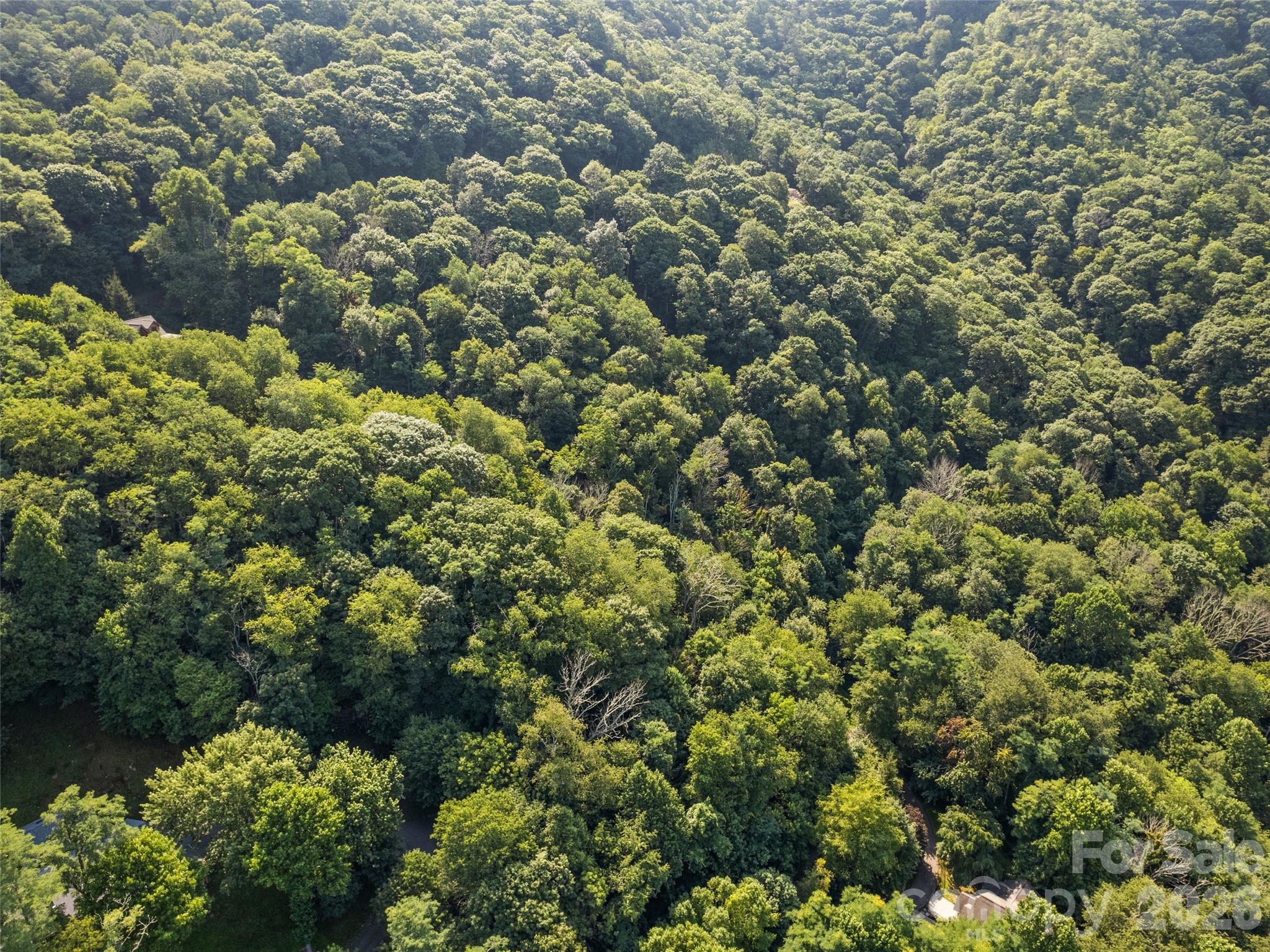 Lot #69 Twisted Trail 69 Property Photo 3