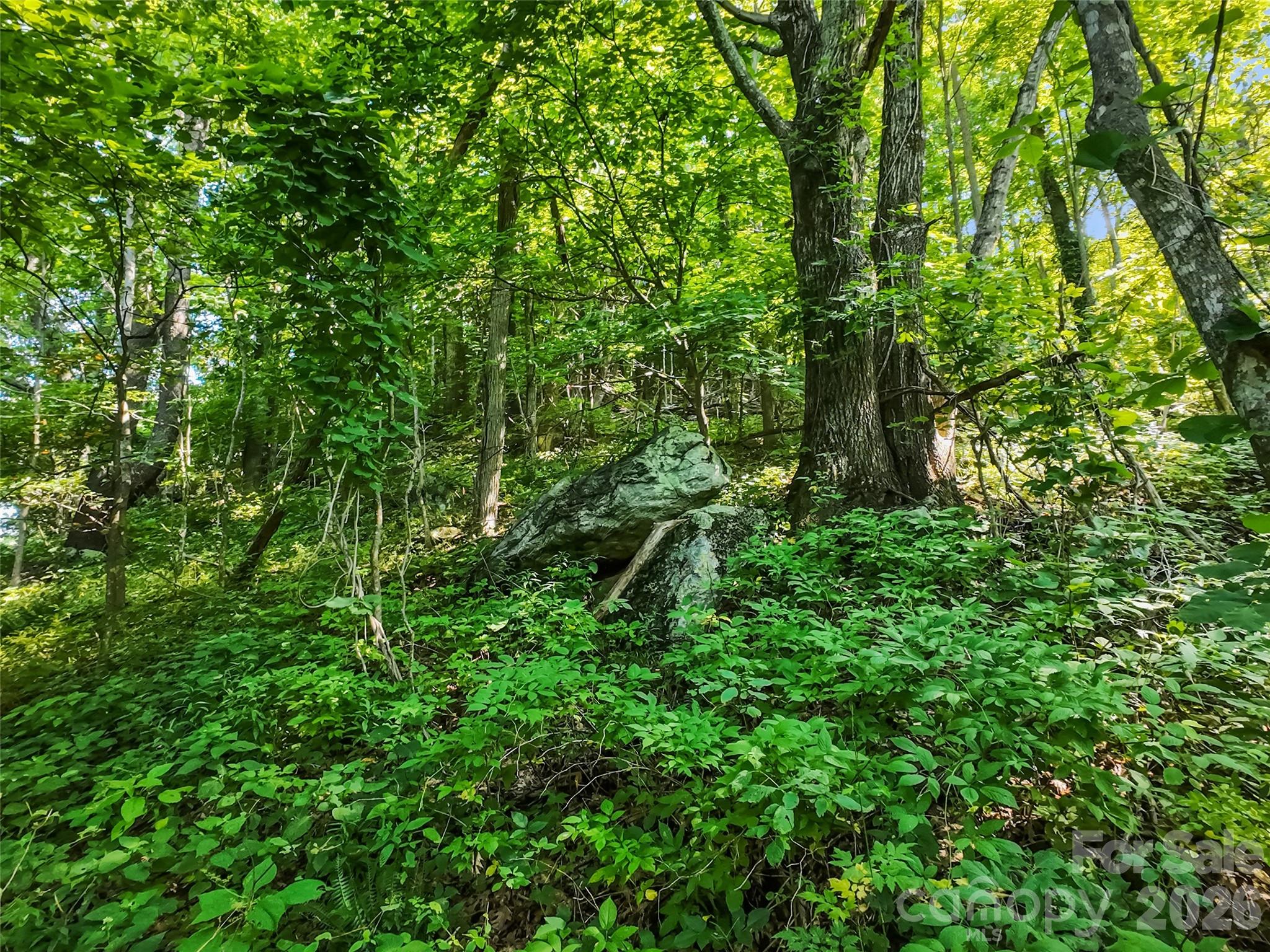 Lot #69 Twisted Trail 69 Property Photo 7