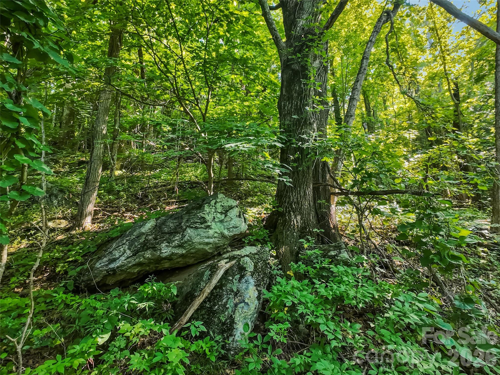 Lot #69 Twisted Trail 69 Property Photo 8