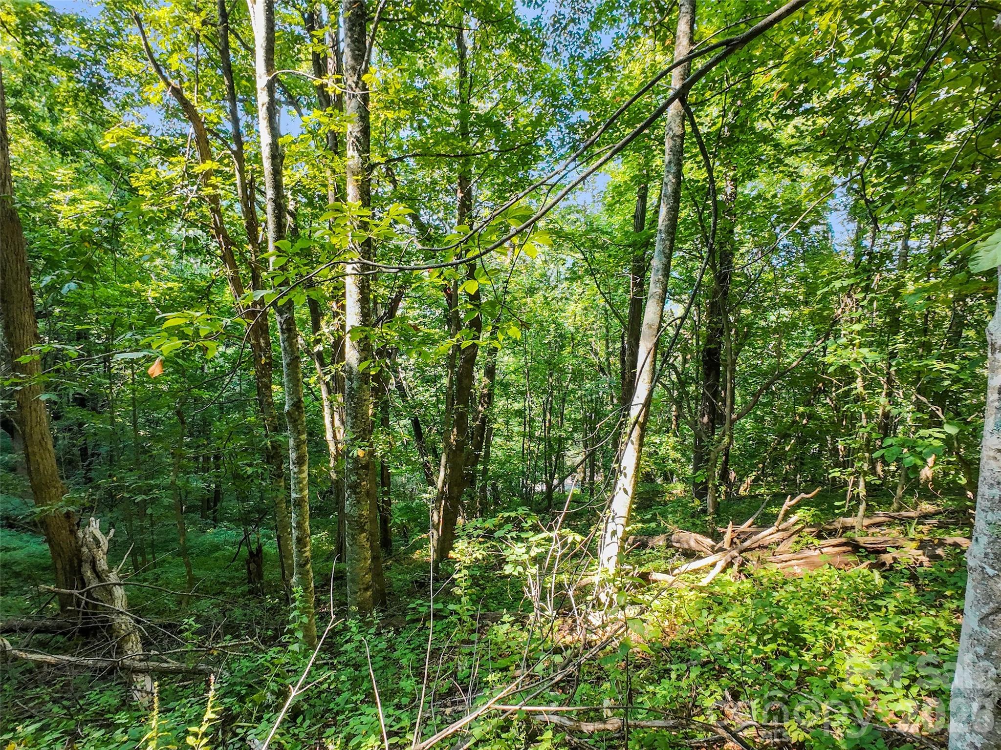 Lot #69 Twisted Trail 69 Property Photo 9