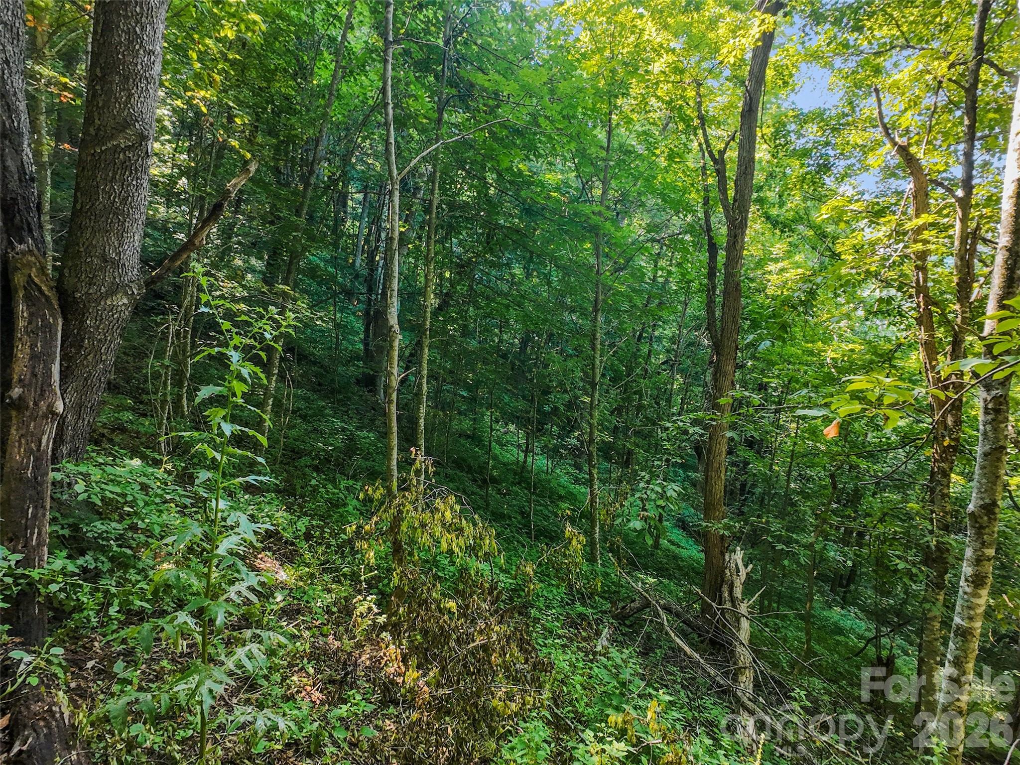 Lot #69 Twisted Trail 69 Property Photo 10