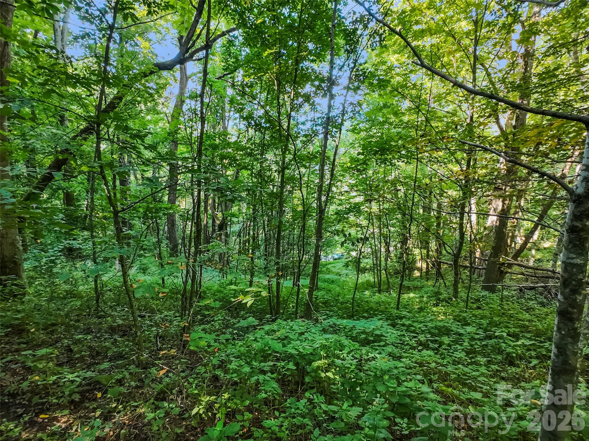 Lot #69 Twisted Trail 69 Property Photo 11