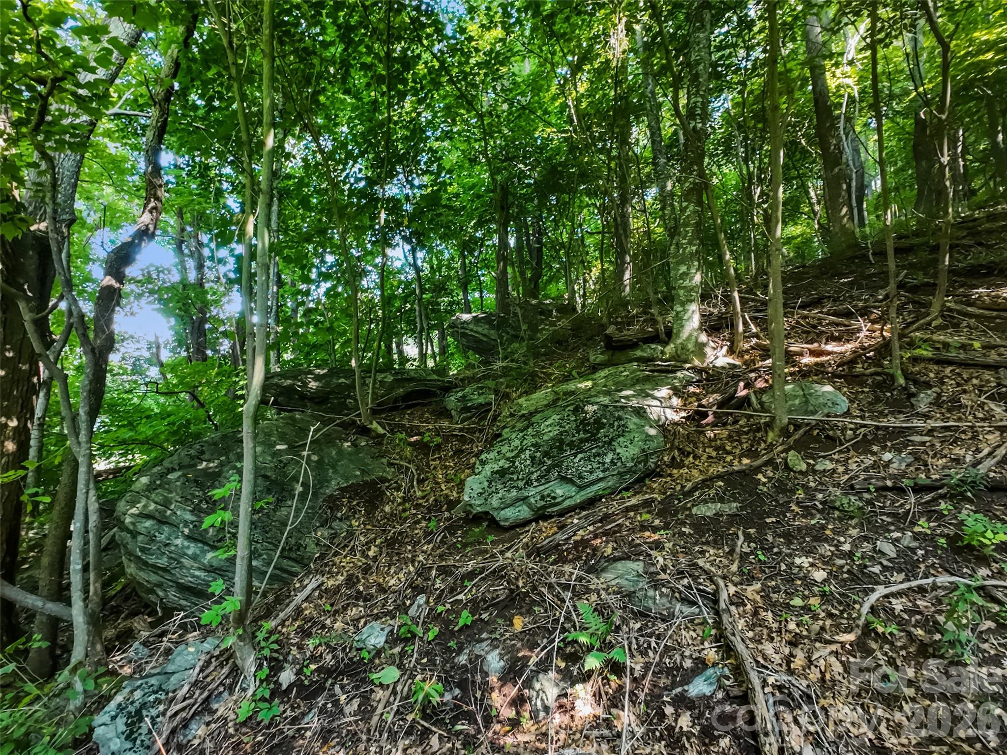 Lot #69 Twisted Trail 69 Property Photo 12