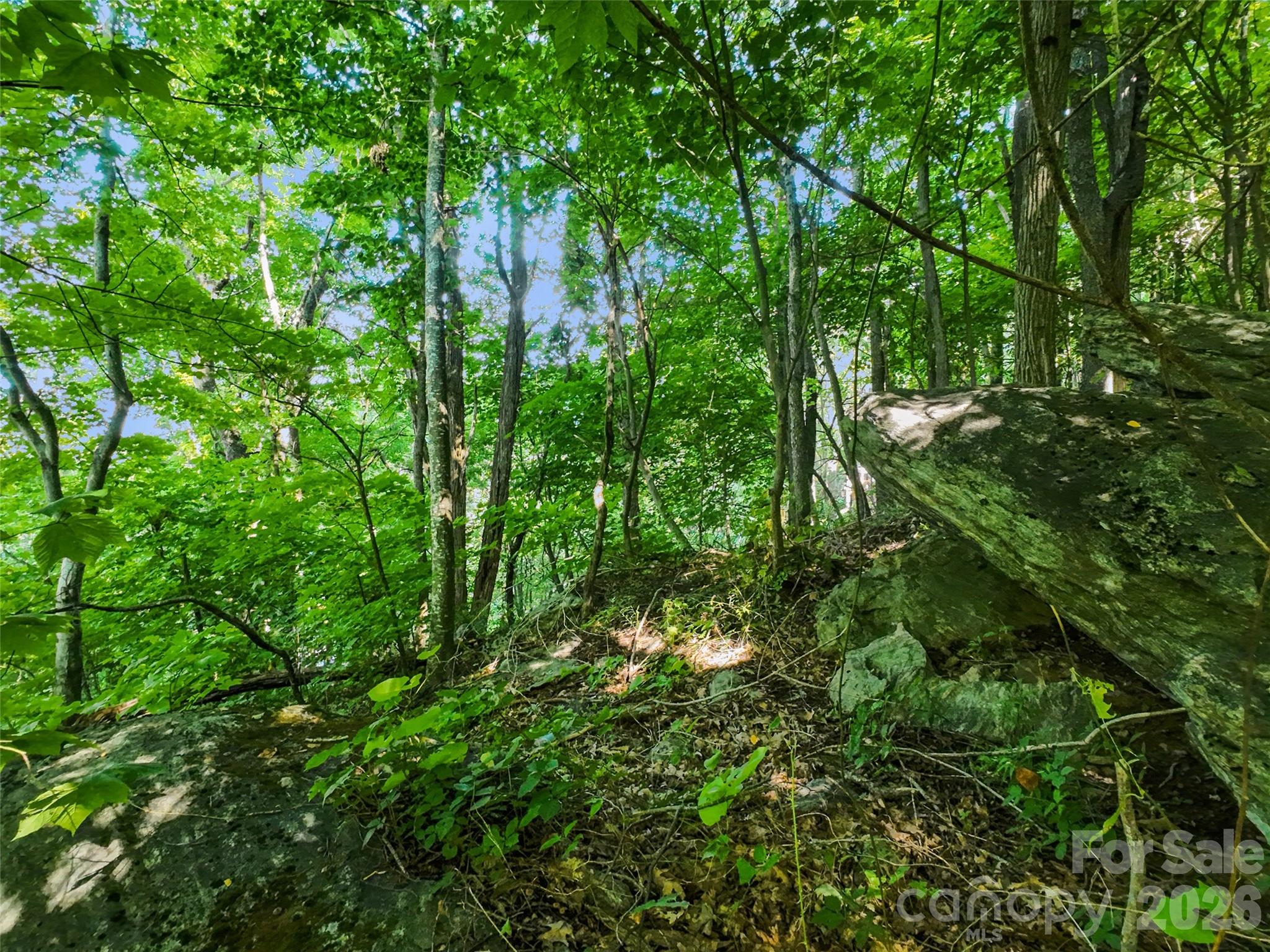 Lot #69 Twisted Trail 69 Property Photo 13