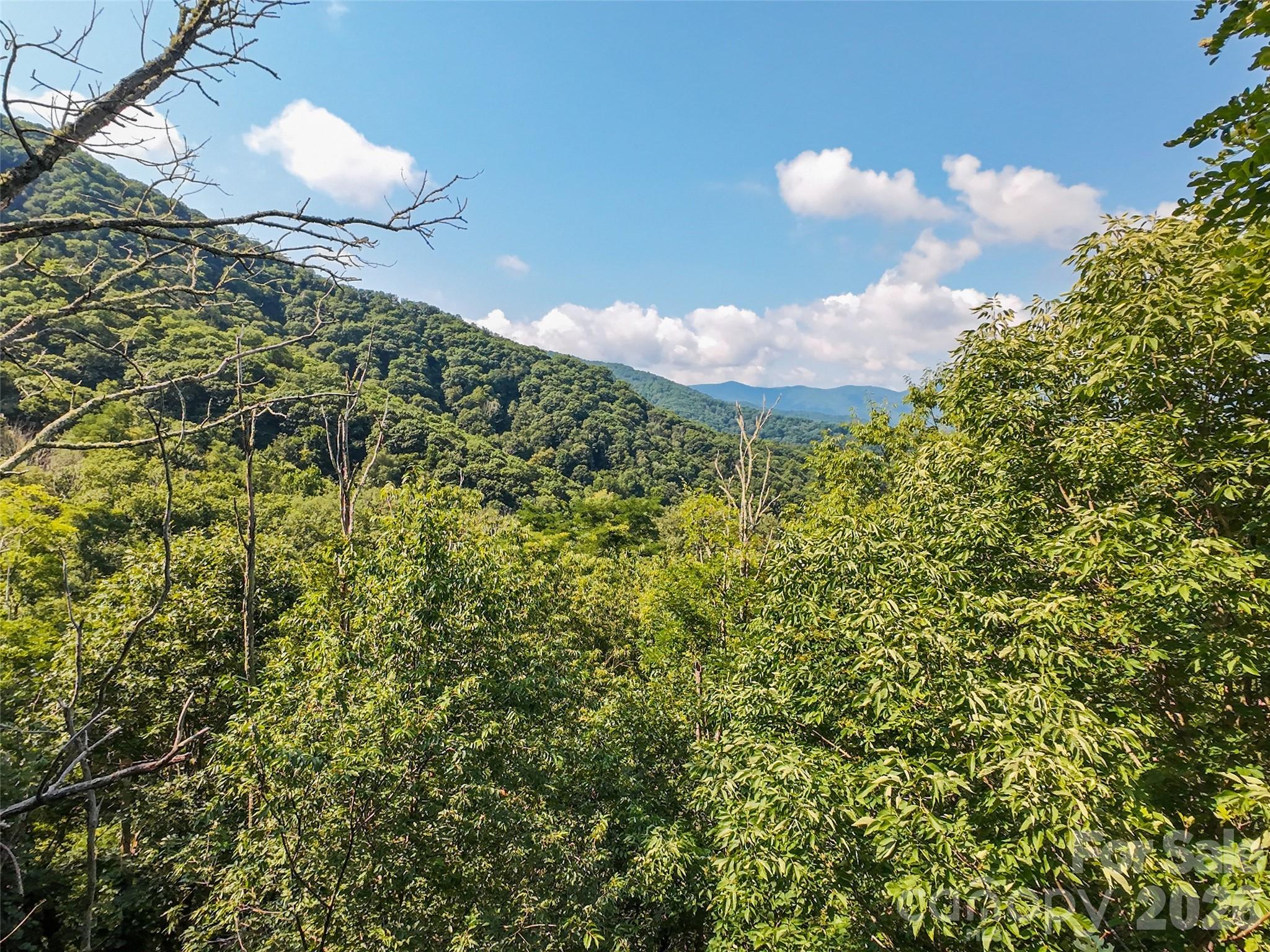 Lot #69 Twisted Trail 69 Property Photo 14