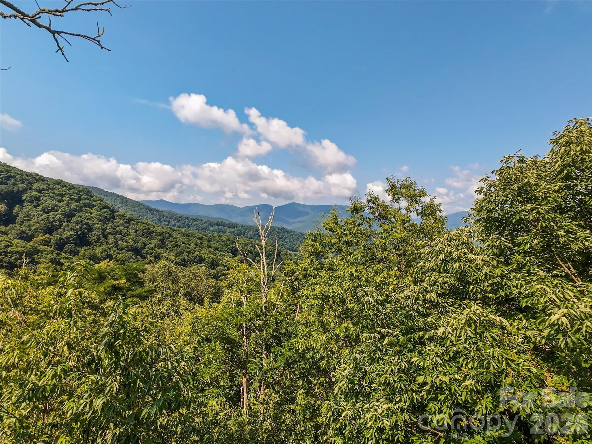 Lot #69 Twisted Trail 69 Property Photo 15
