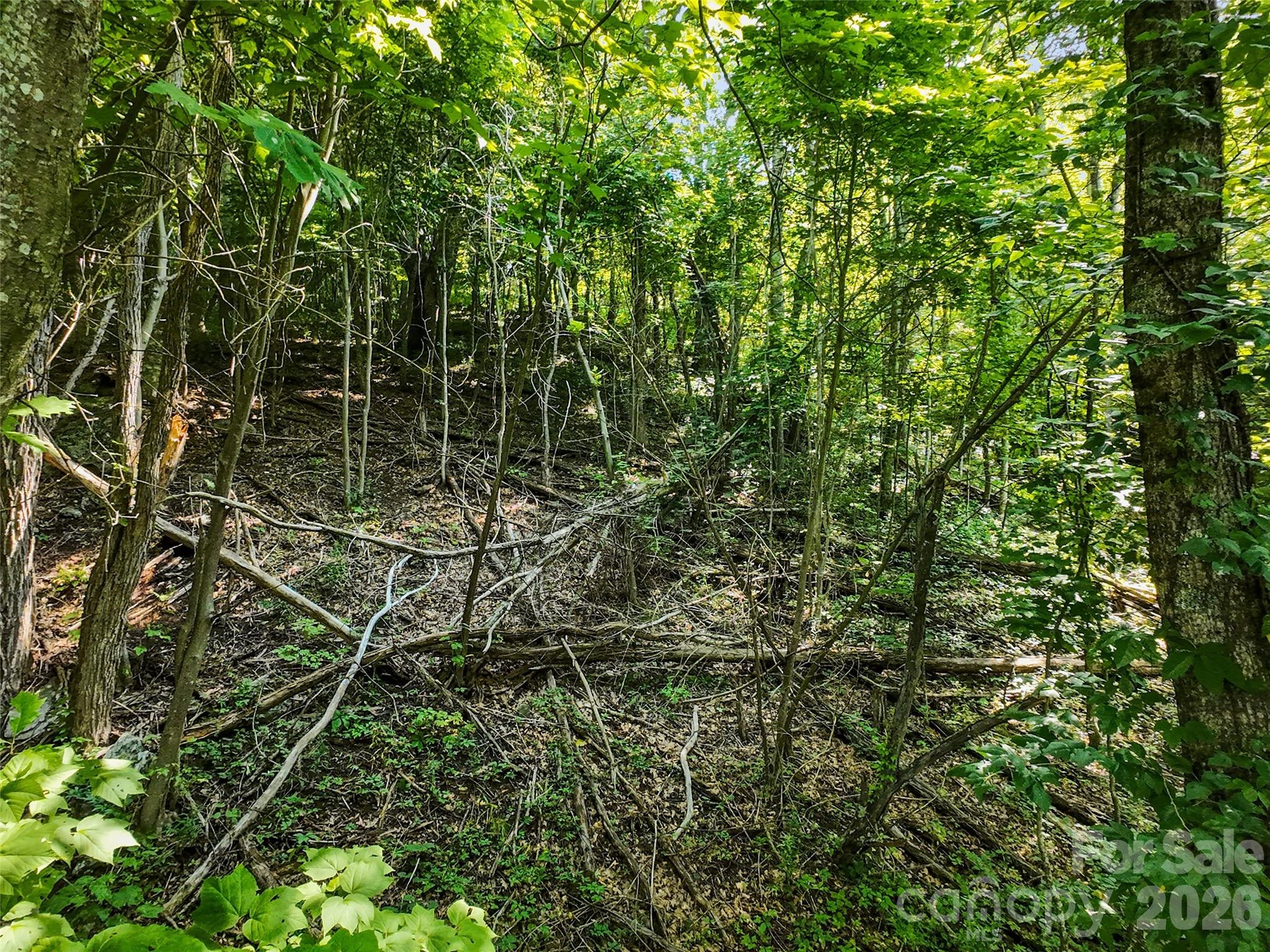 Lot #69 Twisted Trail 69 Property Photo 16