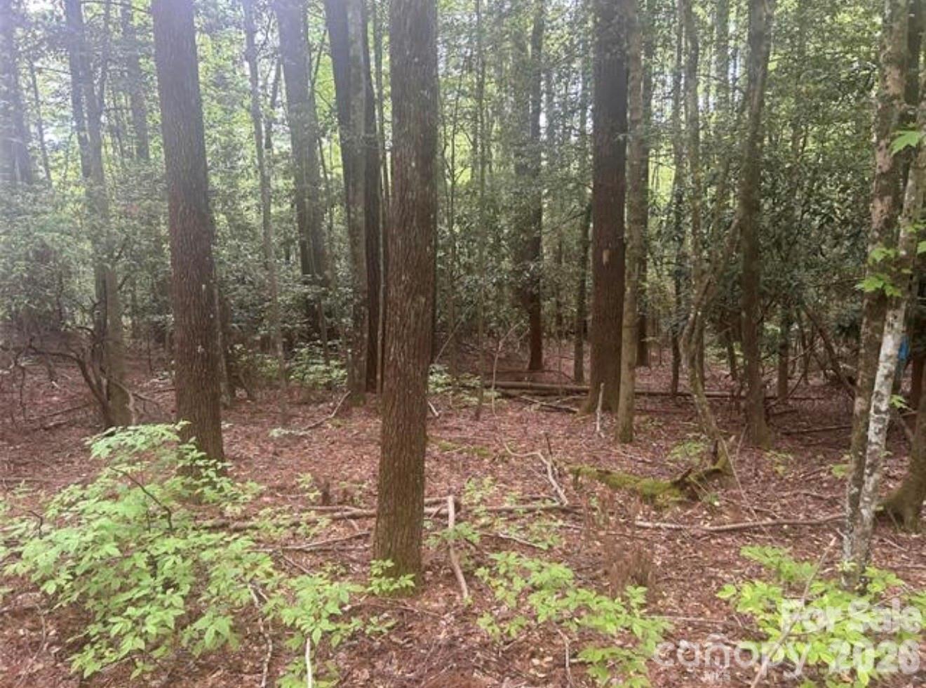 Tbd Upper Whitewater Road Property Photo 3
