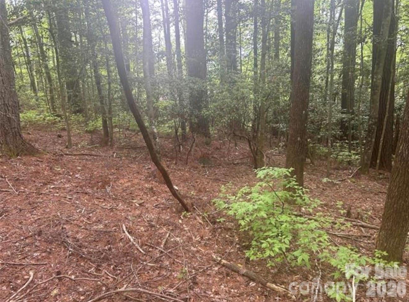 Tbd Upper Whitewater Road Property Photo 4