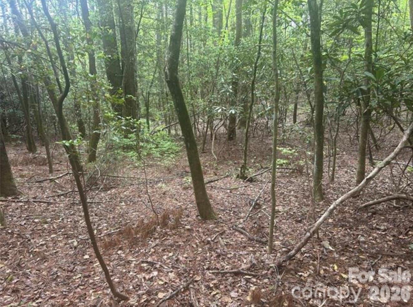 Tbd Upper Whitewater Road Property Photo 5