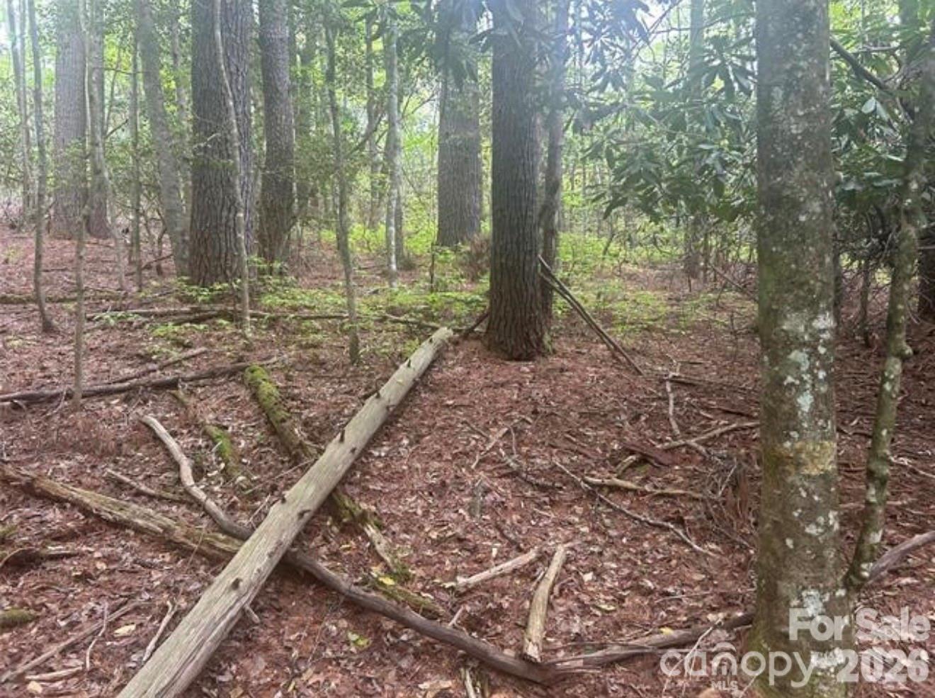 Tbd Upper Whitewater Road Property Photo 6