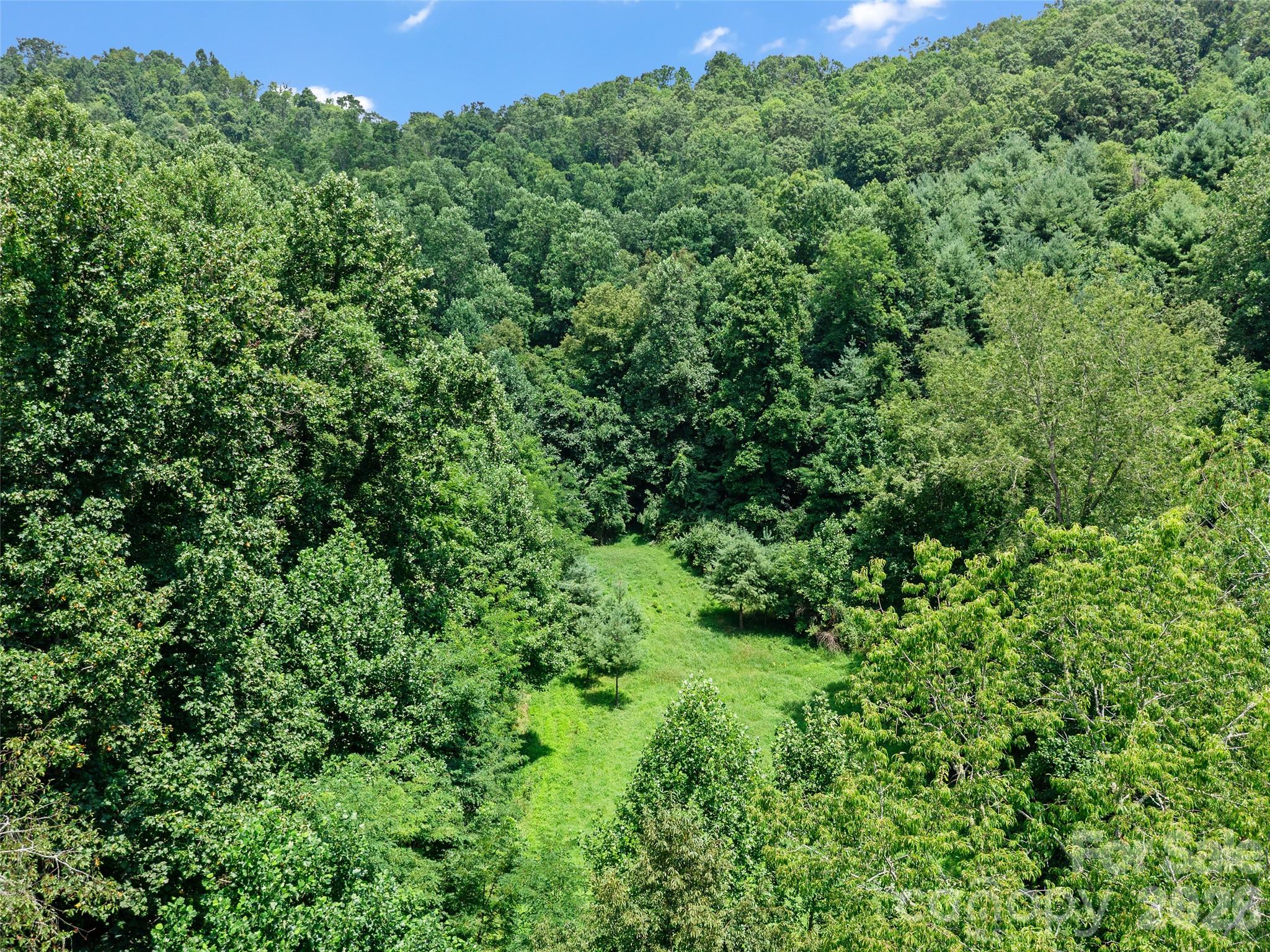 1377 Langford Branch Road Property Photo 3